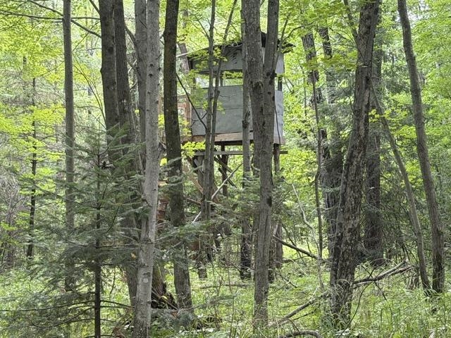 3319 North Road Property Photo 36