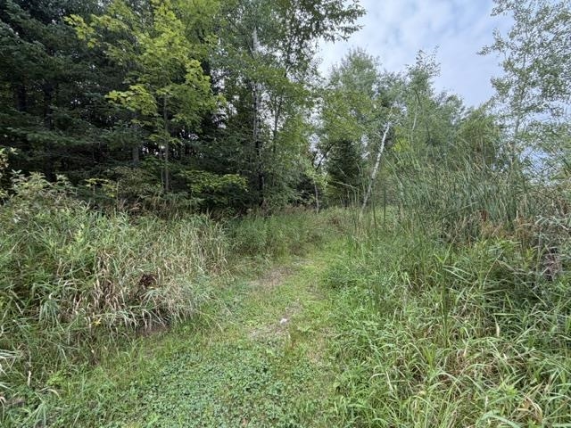 3319 North Road Property Photo 38