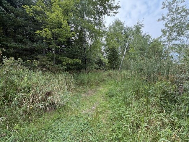 3319 North Road Property Photo 41