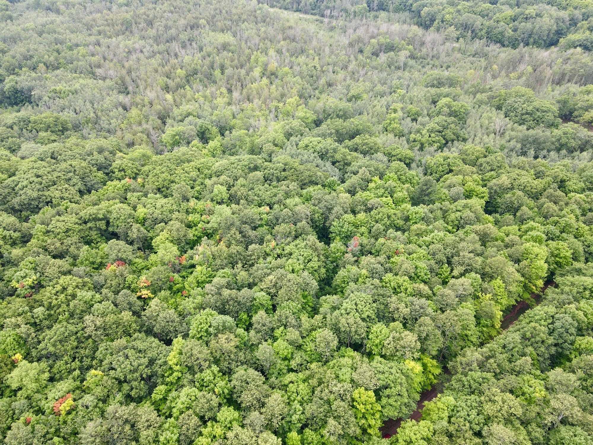 Lot 2 Crane Foot Lake Road Property Photo 1