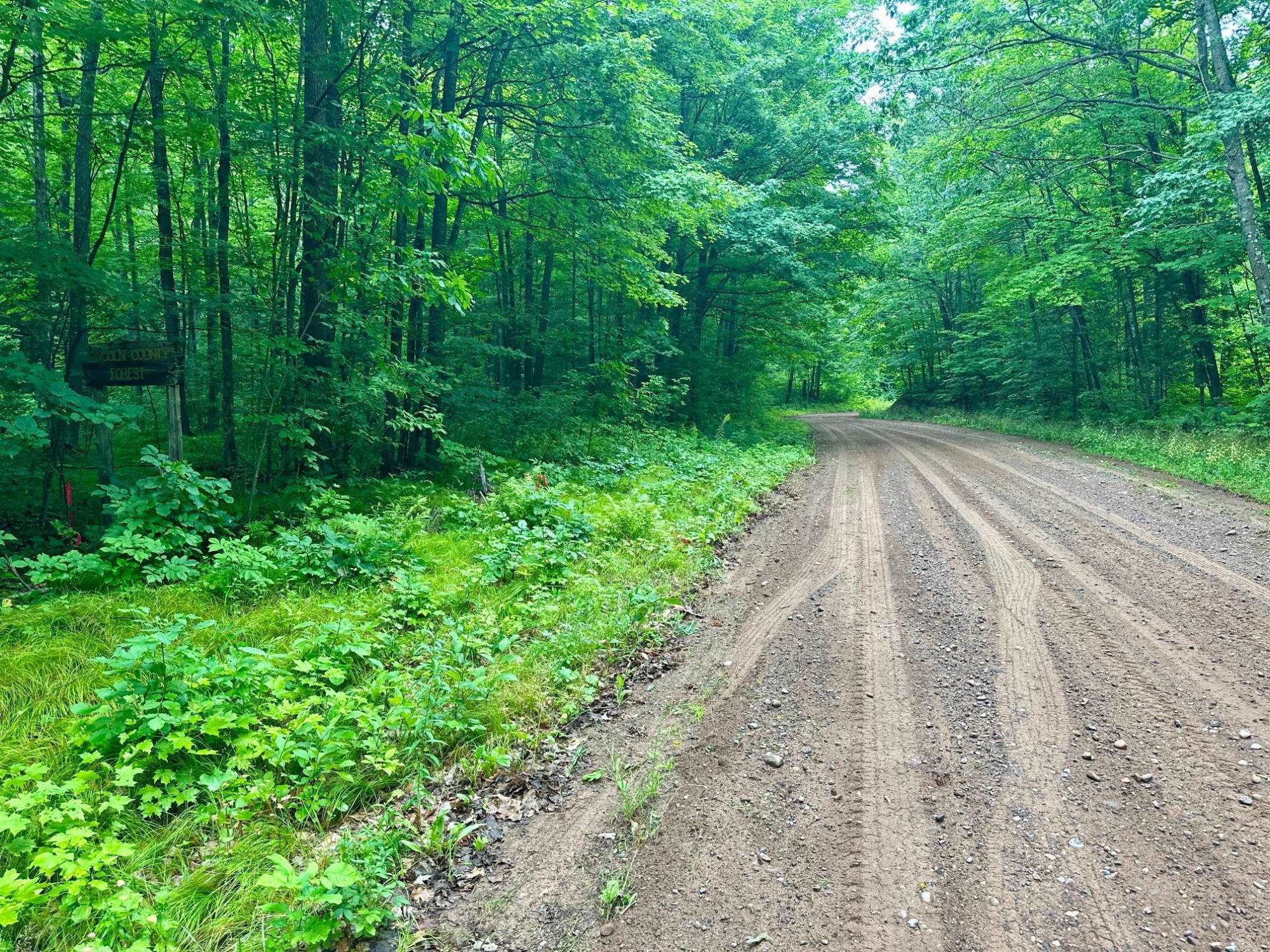 Lot 2 Crane Foot Lake Road Property Photo 5