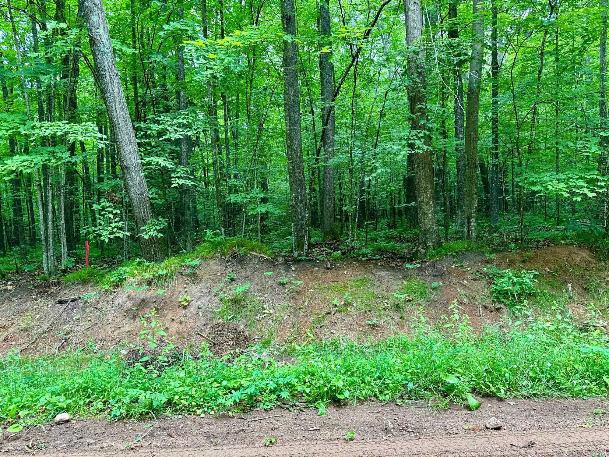 Lot 2 Crane Foot Lake Road Property Photo 6