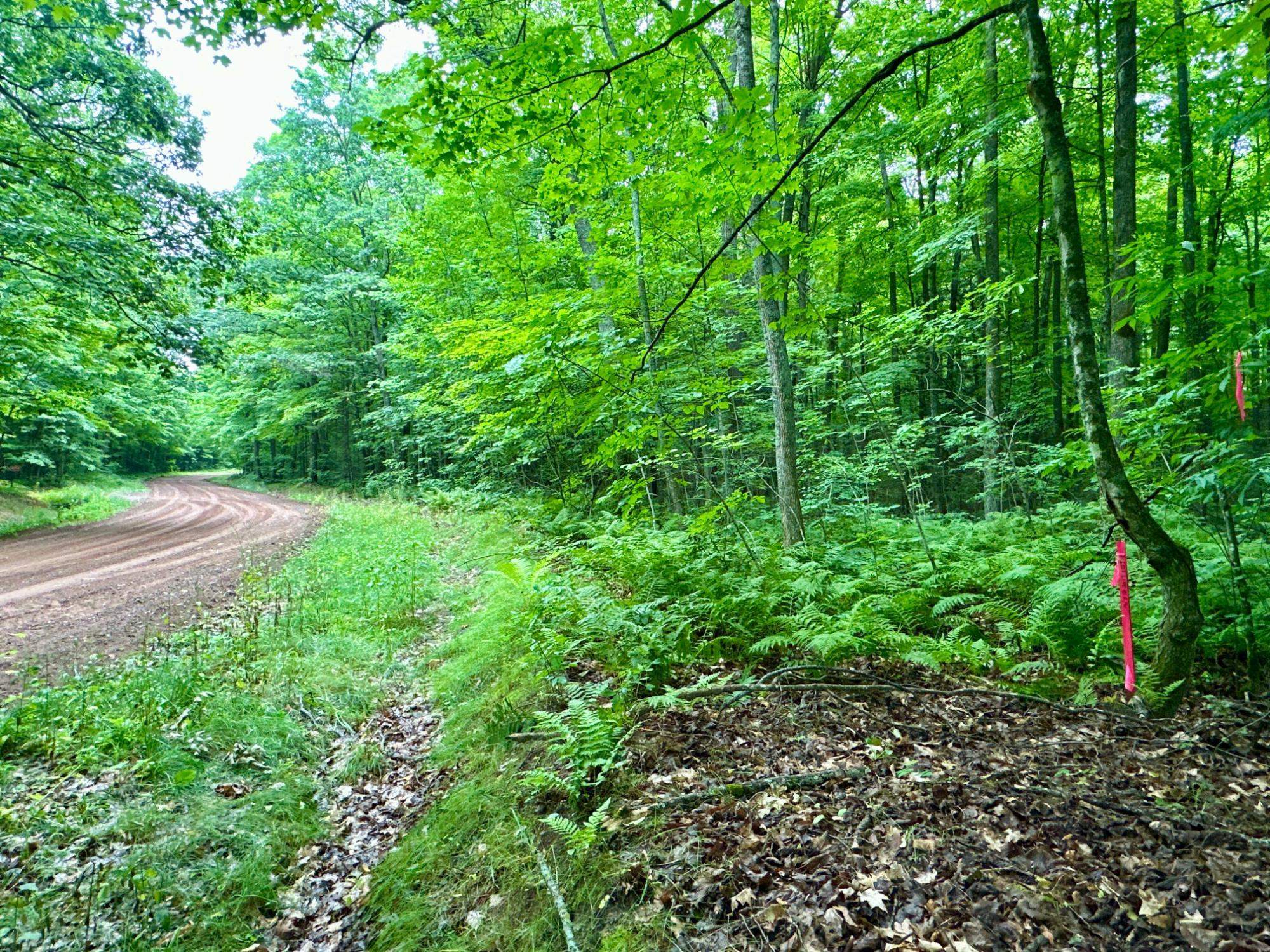 Lot 4 Crane Foot Lake Road Property Photo 3