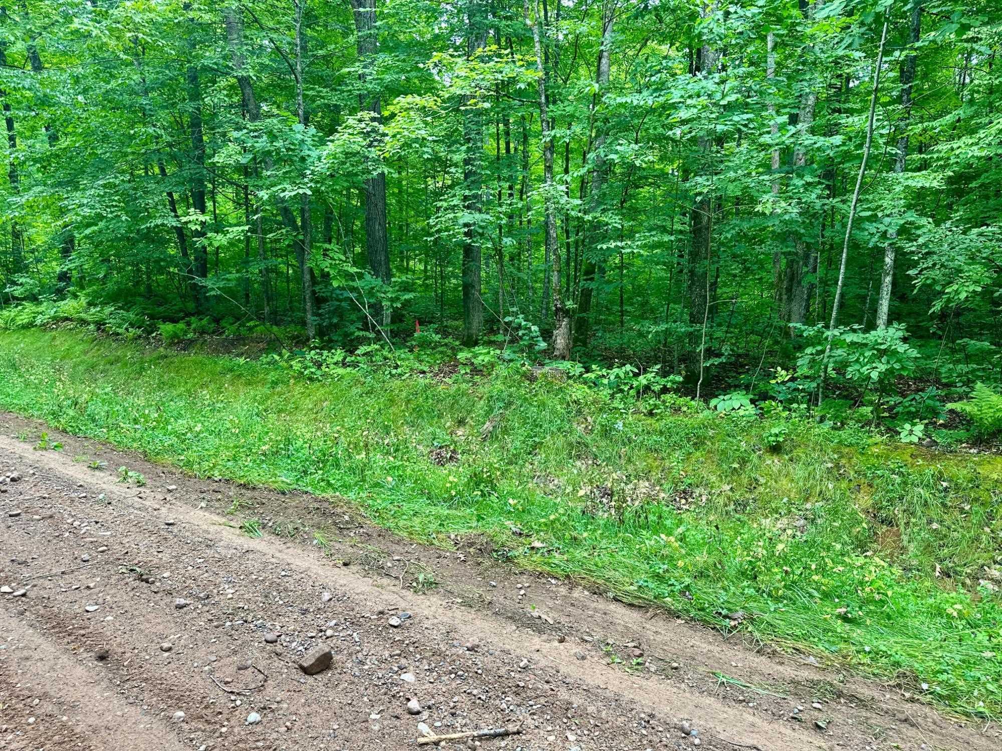 Lot 4 Crane Foot Lake Road Property Photo 4
