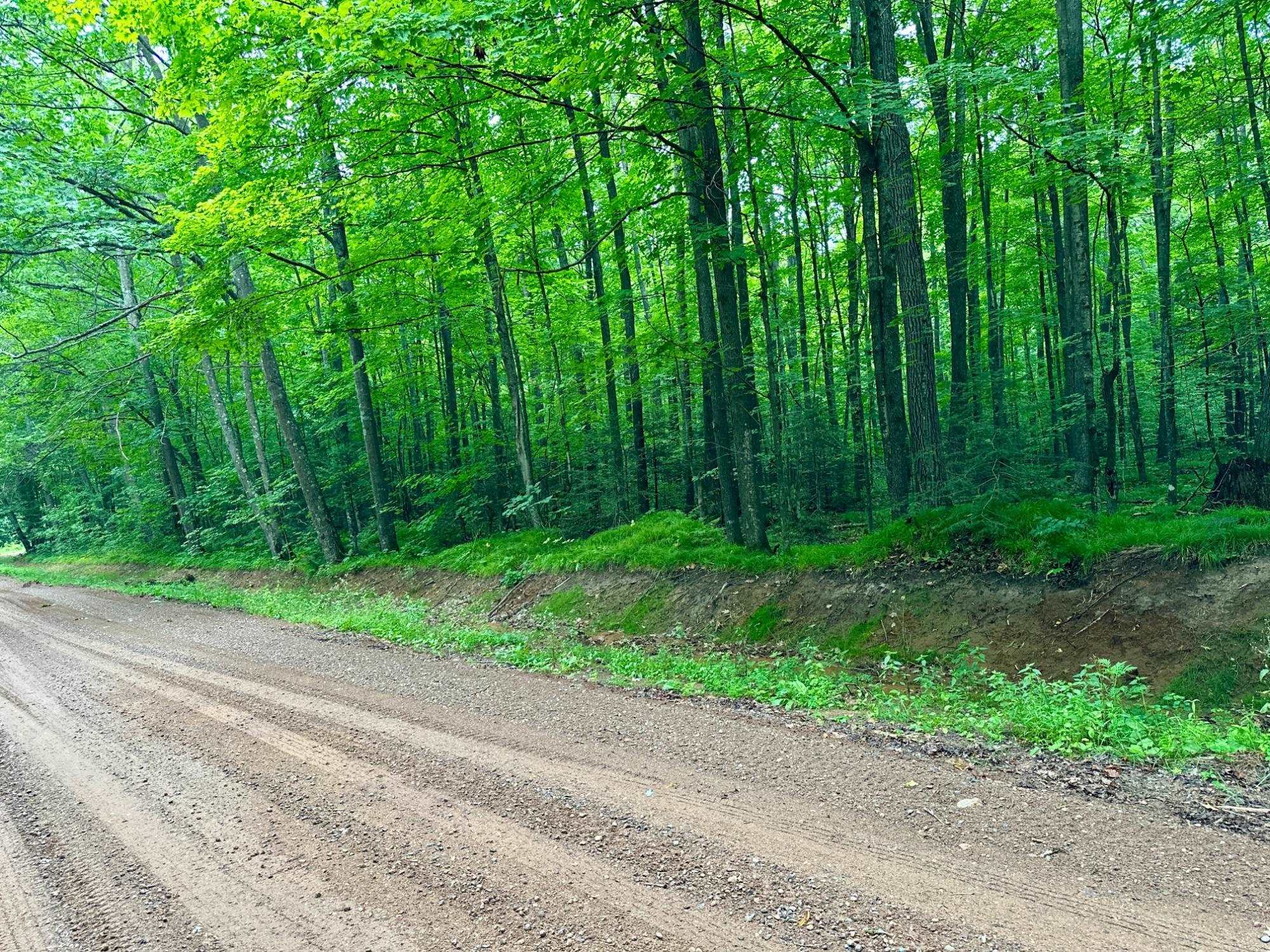 Lot 4 Crane Foot Lake Road Property Photo 5