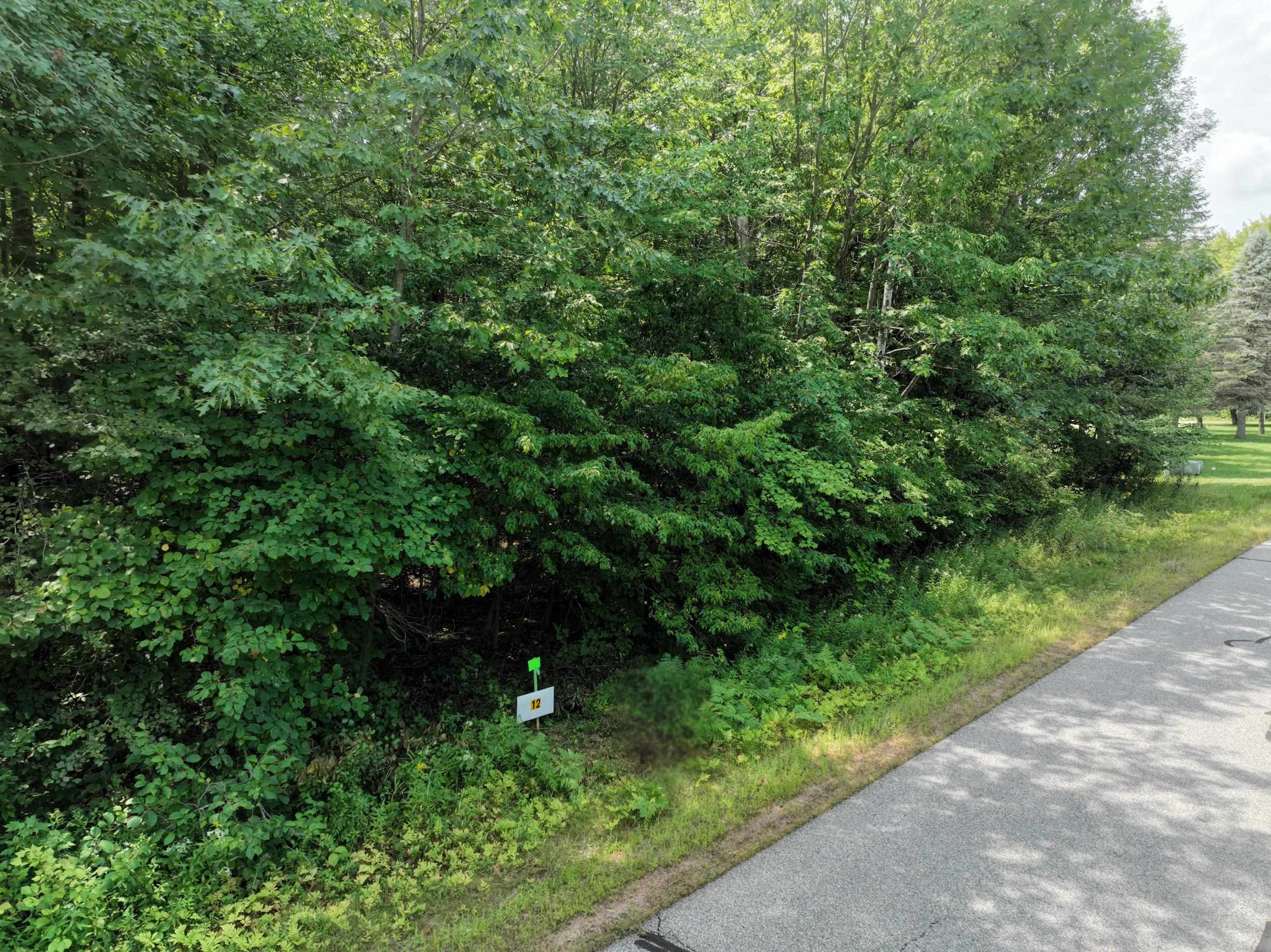 Lot 12 Burma Road Property Photo 5