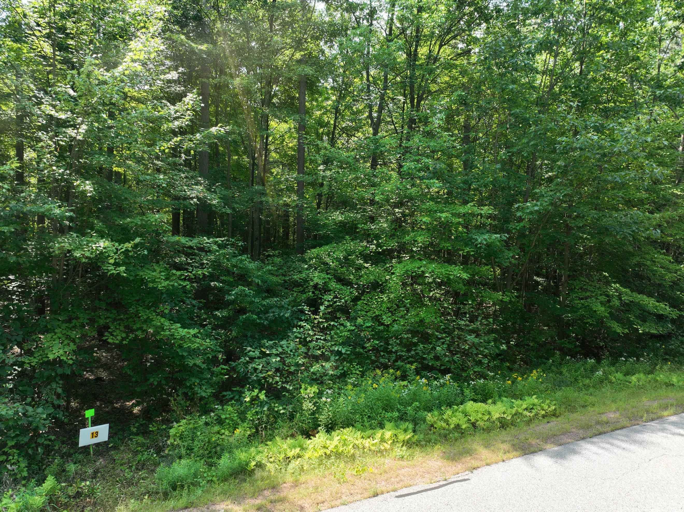 Lot 13 Burma Road Property Photo 5