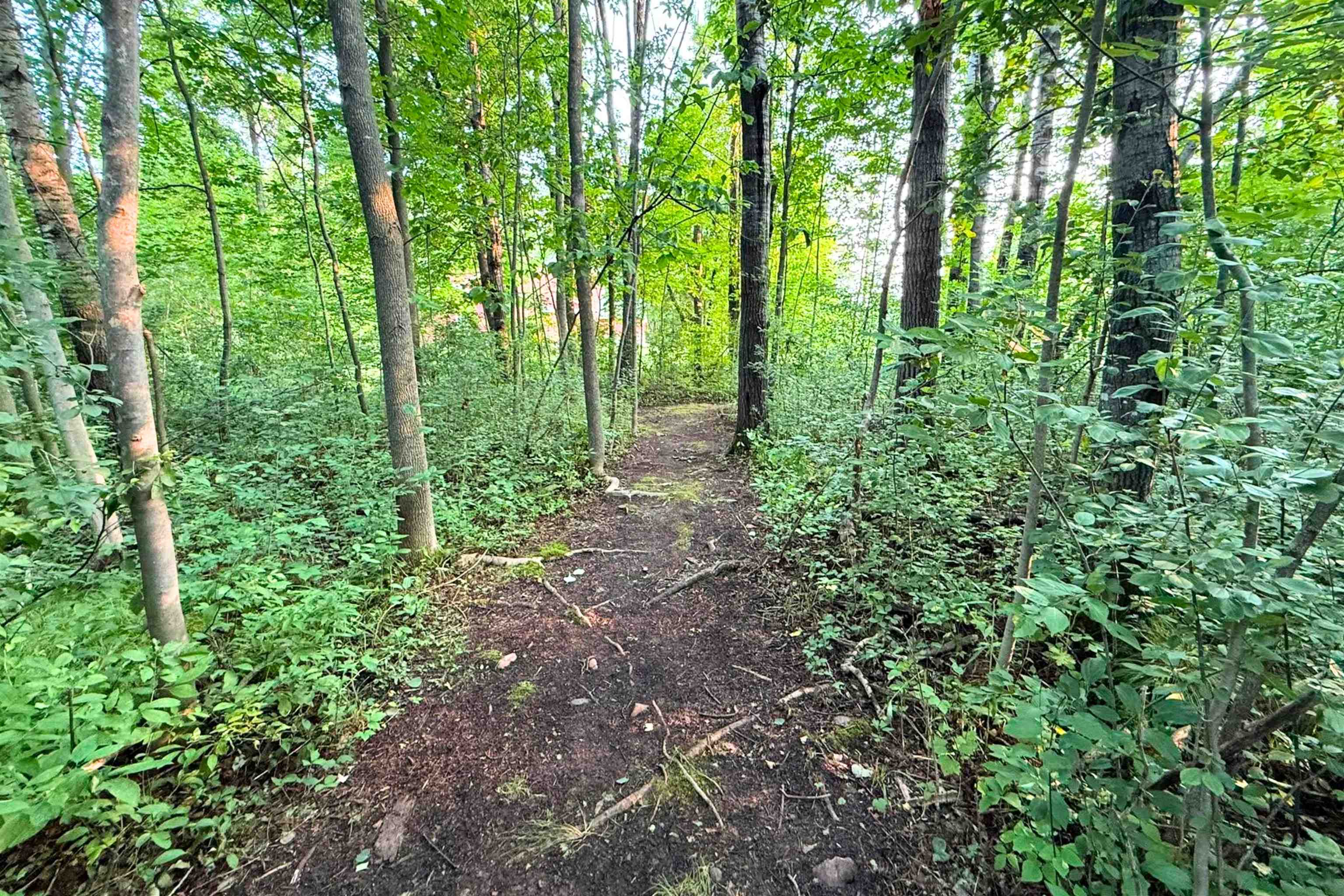 223820 Trail Road Property Photo 28