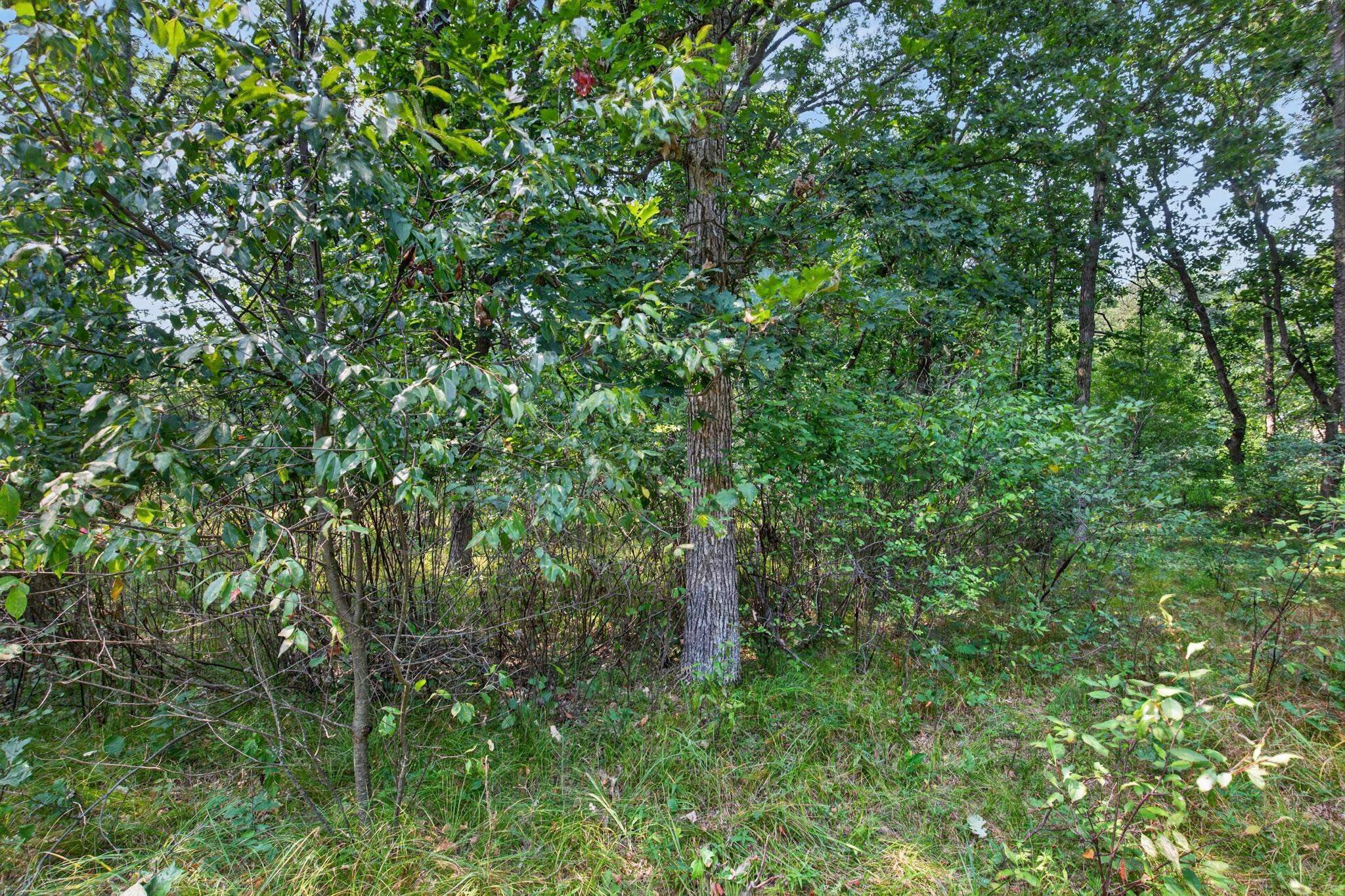 349 Pinehurst Drive Property Photo 11