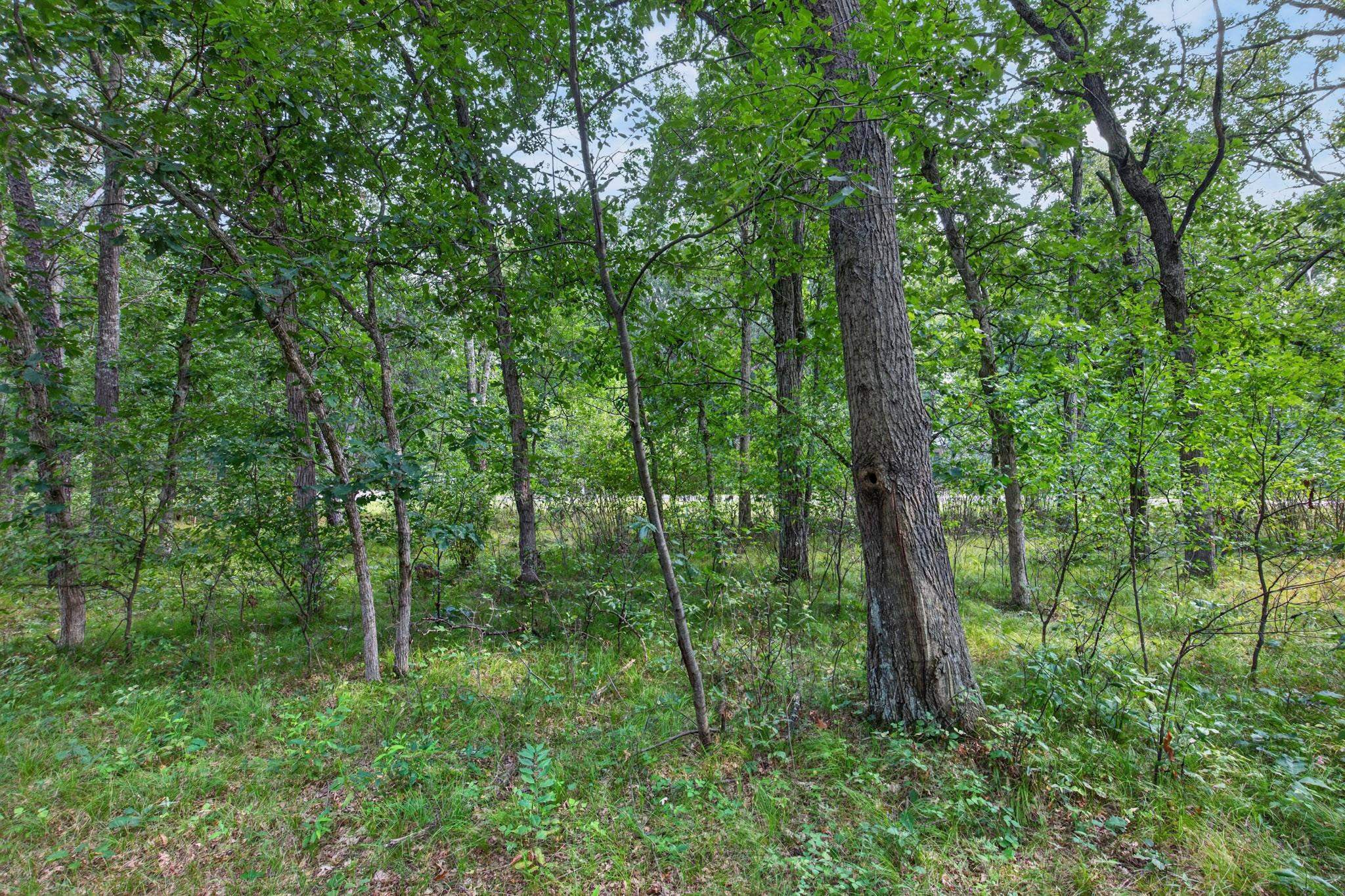 349 Pinehurst Drive Property Photo 13