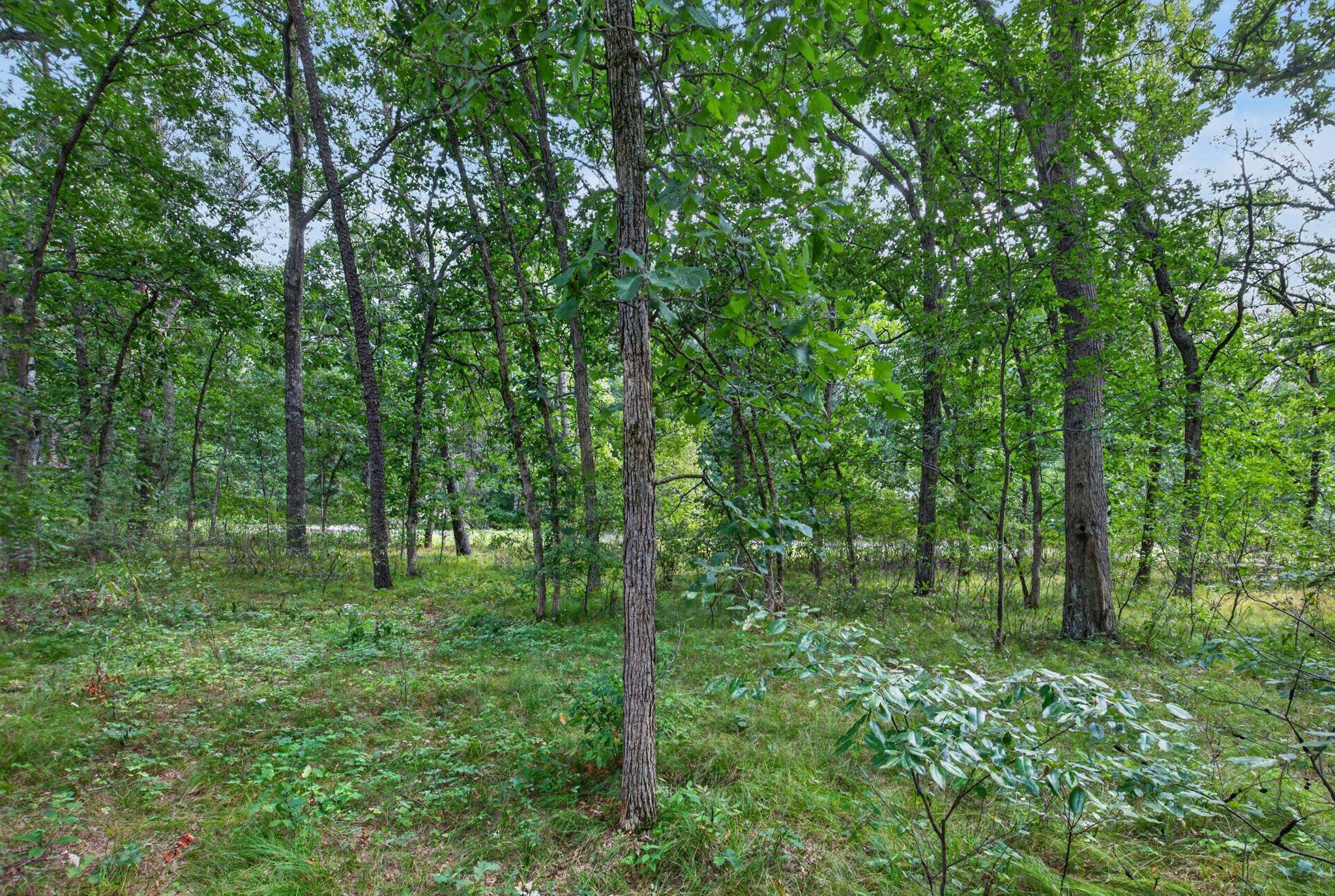 349 Pinehurst Drive Property Photo 14