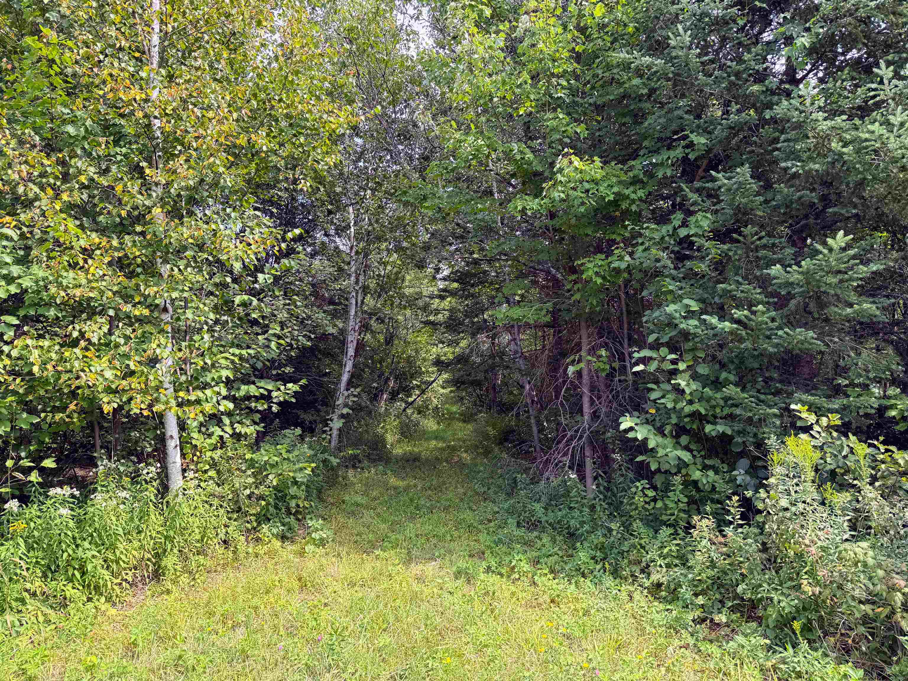 N5402 Aspen Road Property Photo 13