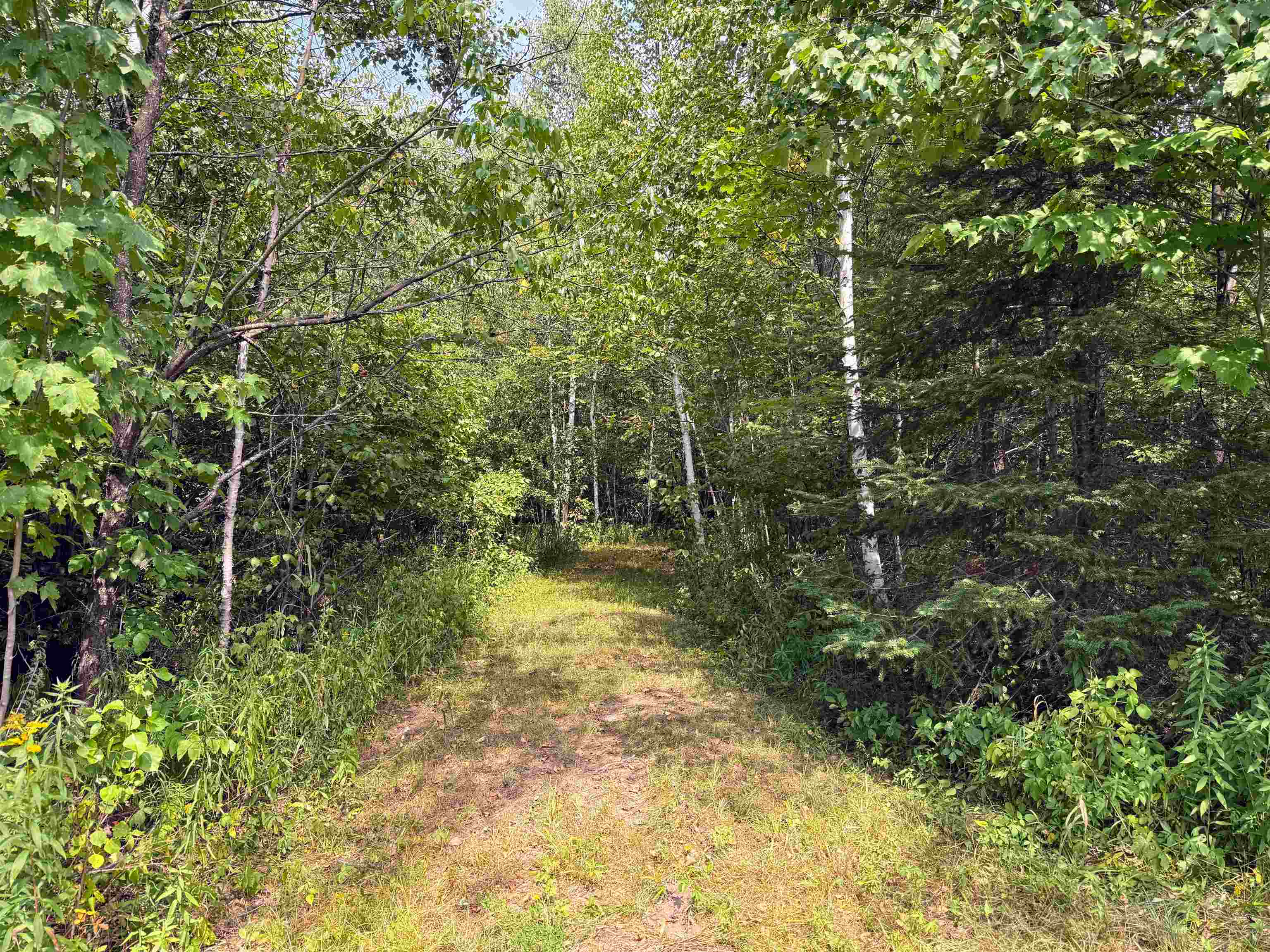 N5402 Aspen Road Property Photo 14