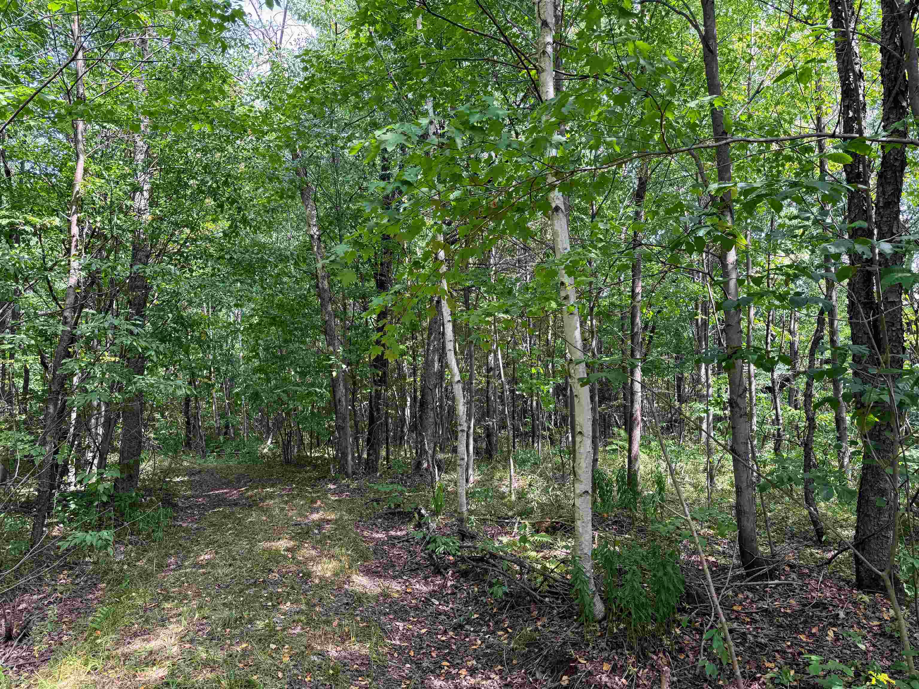 N5402 Aspen Road Property Photo 15