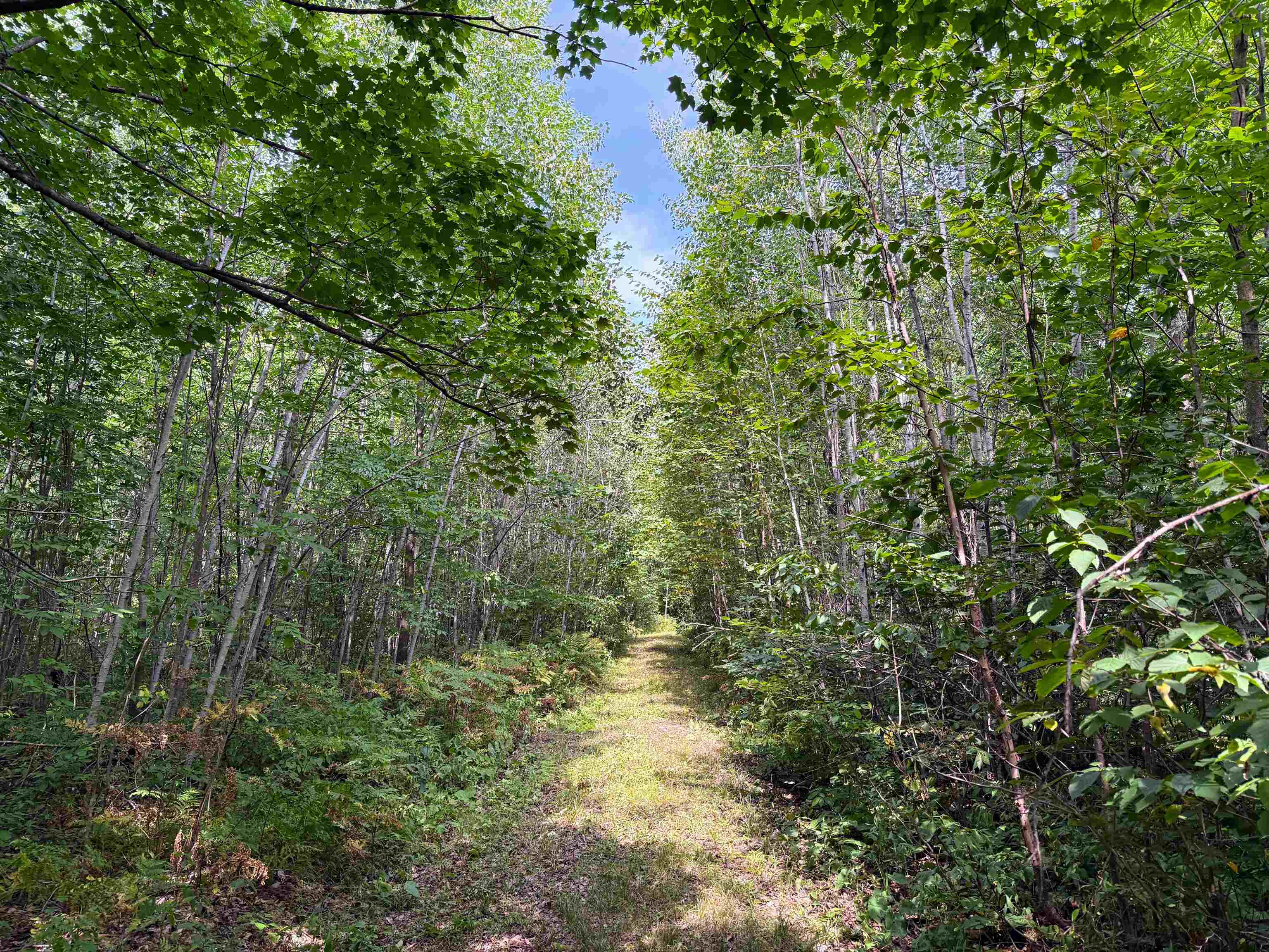 N5402 Aspen Road Property Photo 16