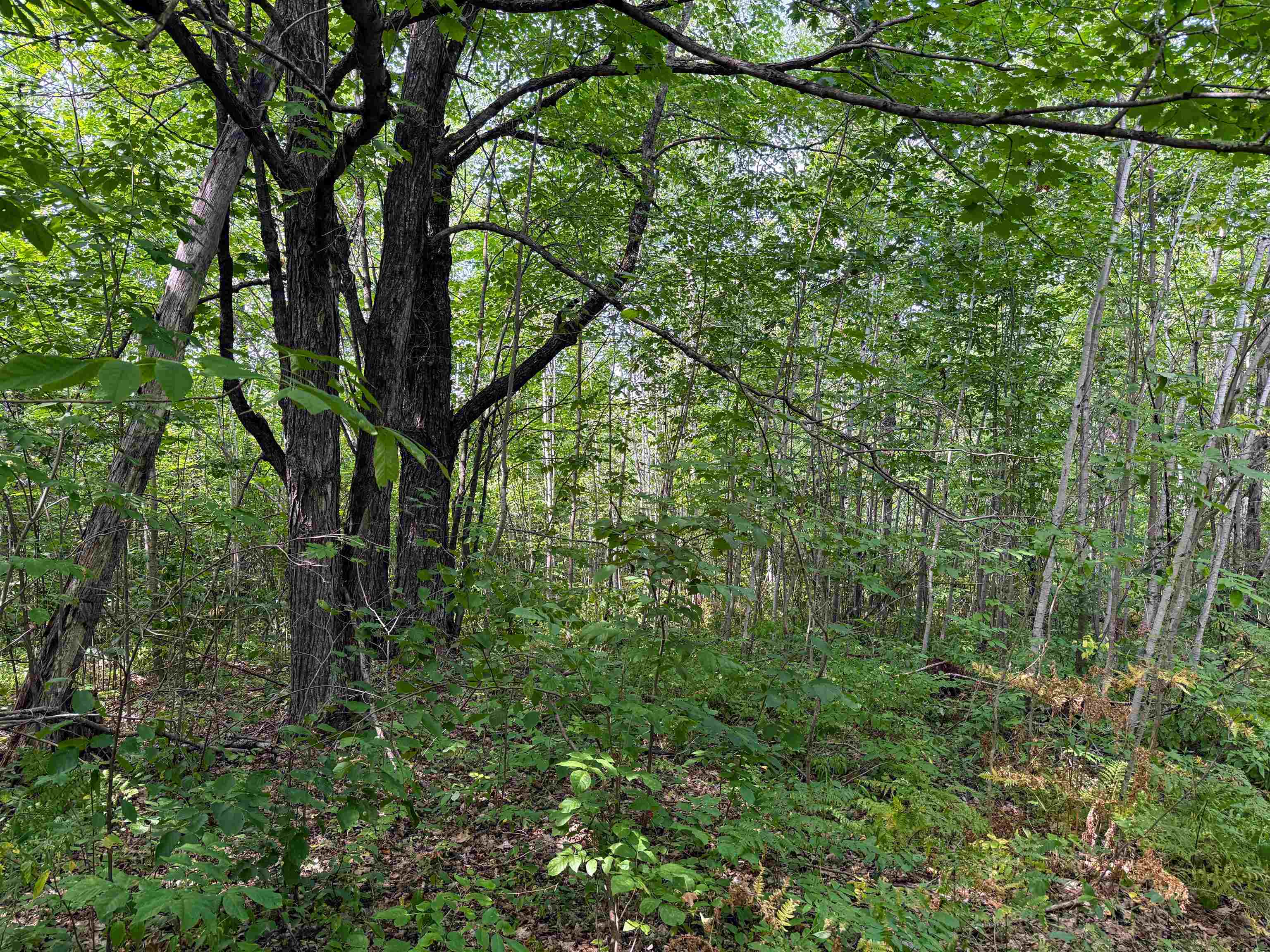 N5402 Aspen Road Property Photo 17