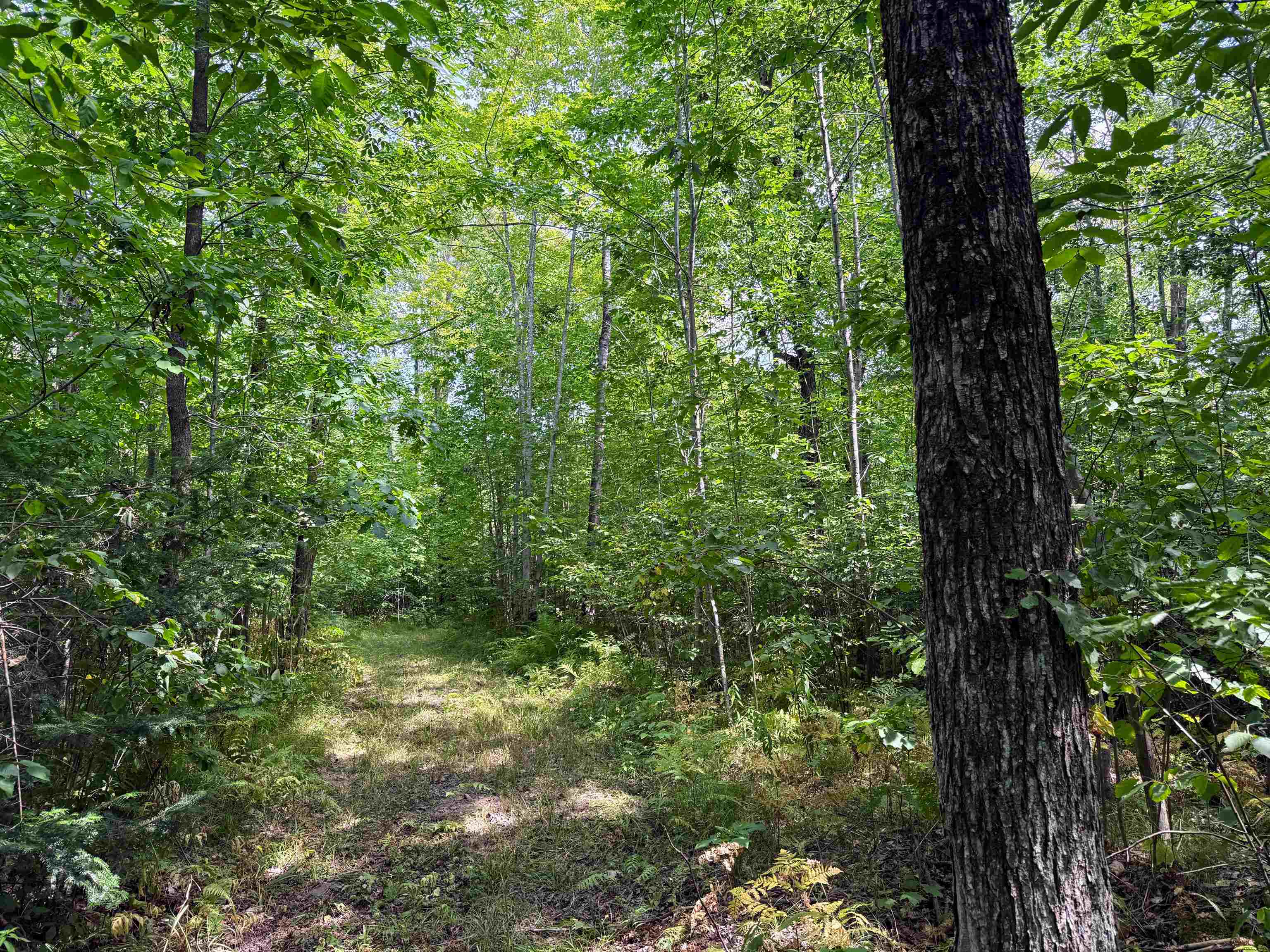 N5402 Aspen Road Property Photo 18