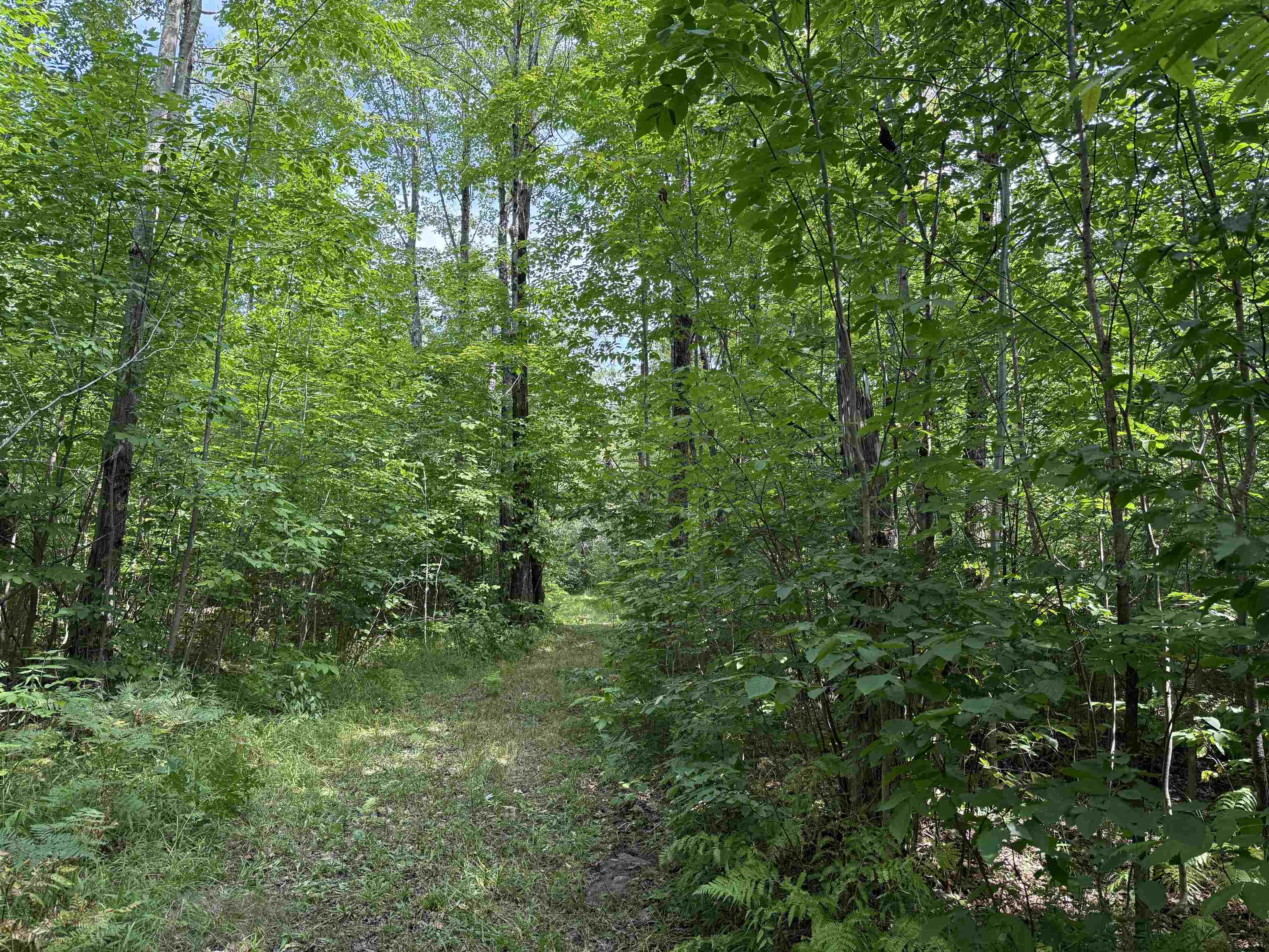 N5402 Aspen Road Property Photo 19