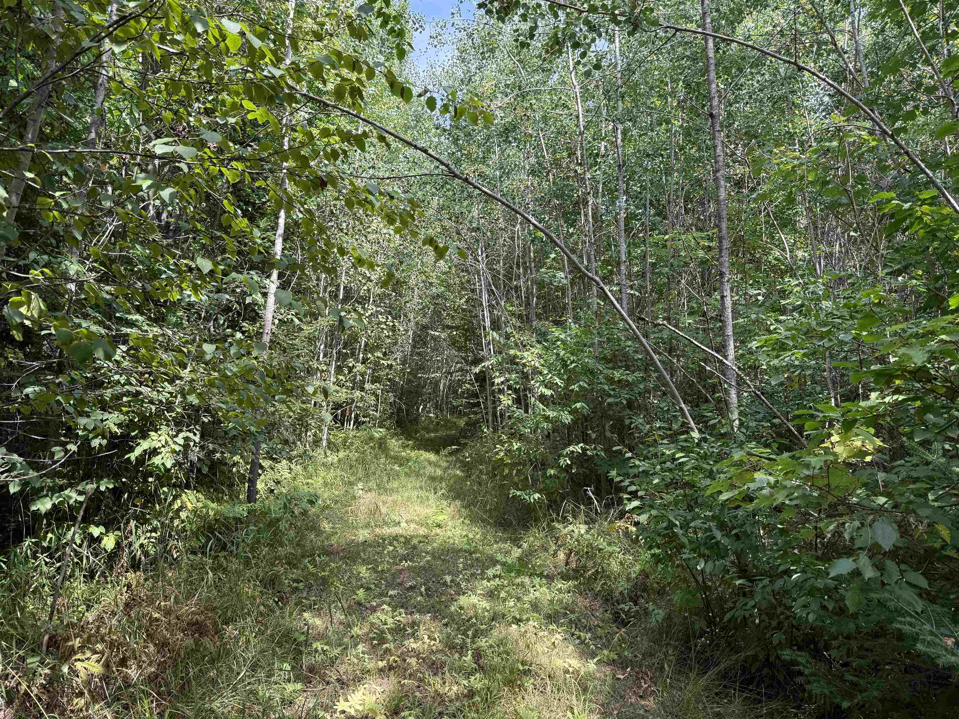 N5402 Aspen Road Property Photo 20