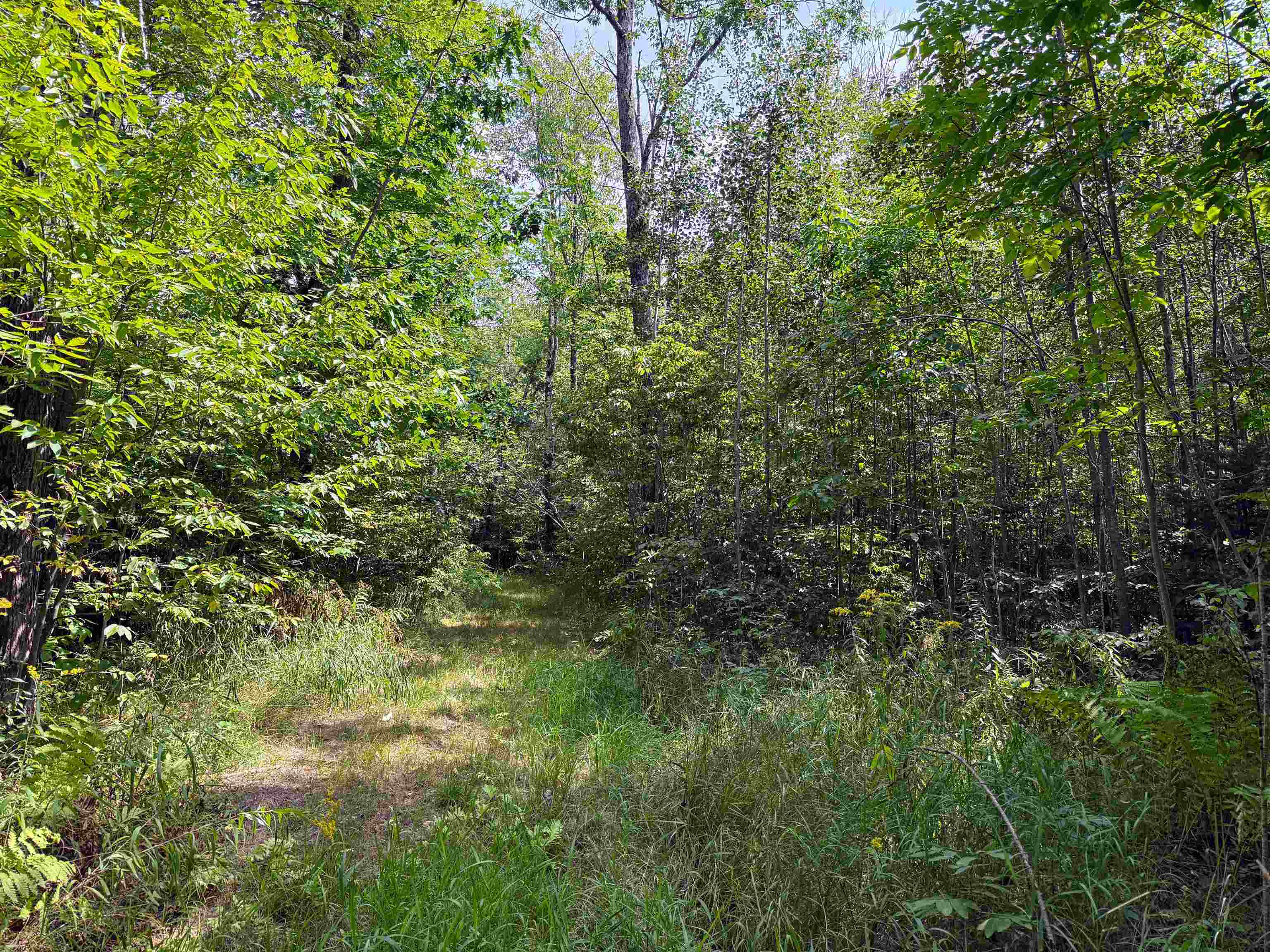 N5402 Aspen Road Property Photo 21