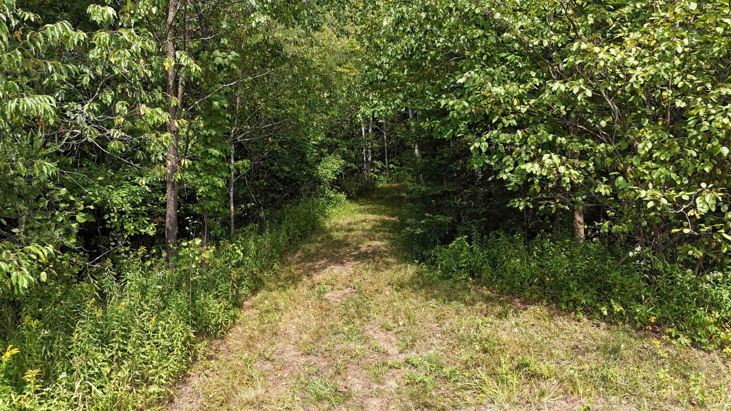 N5402 Aspen Road Property Photo 22