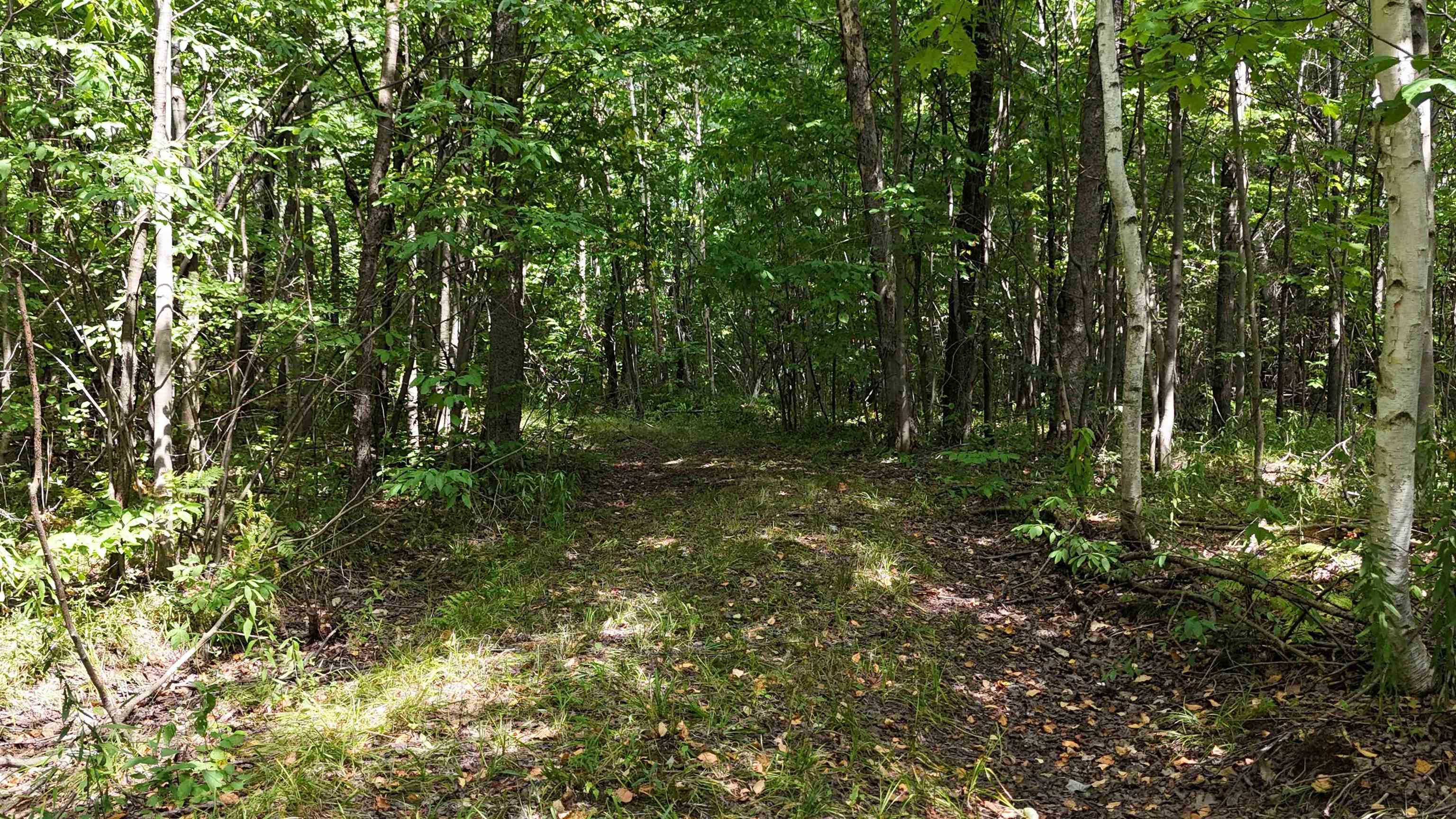 N5402 Aspen Road Property Photo 24