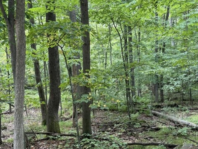 16 Acres County Road B Property Photo 1