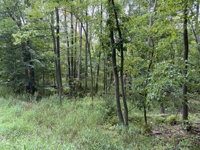 16 Acres County Road B Property Photo 5