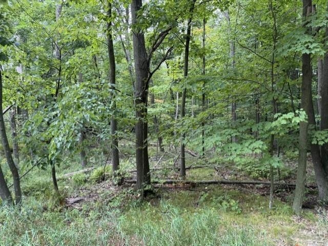 16 Acres County Road B Property Photo 6