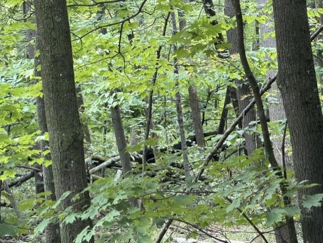 16 Acres County Road B Property Photo 7