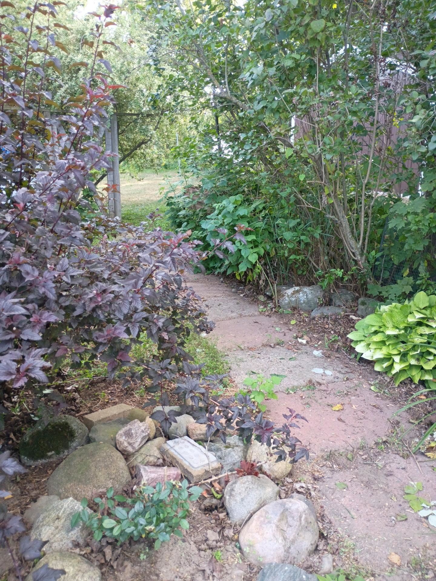 N6616 County Road V Property Photo 36