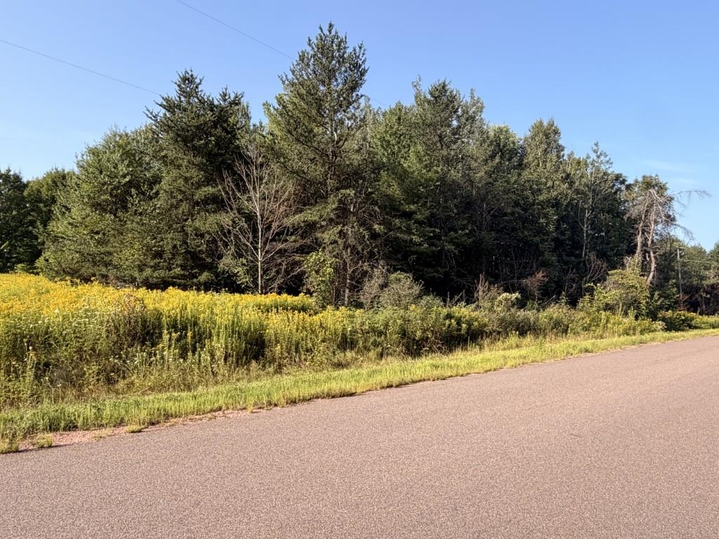 1 Acre Texas Road Property Photo 1