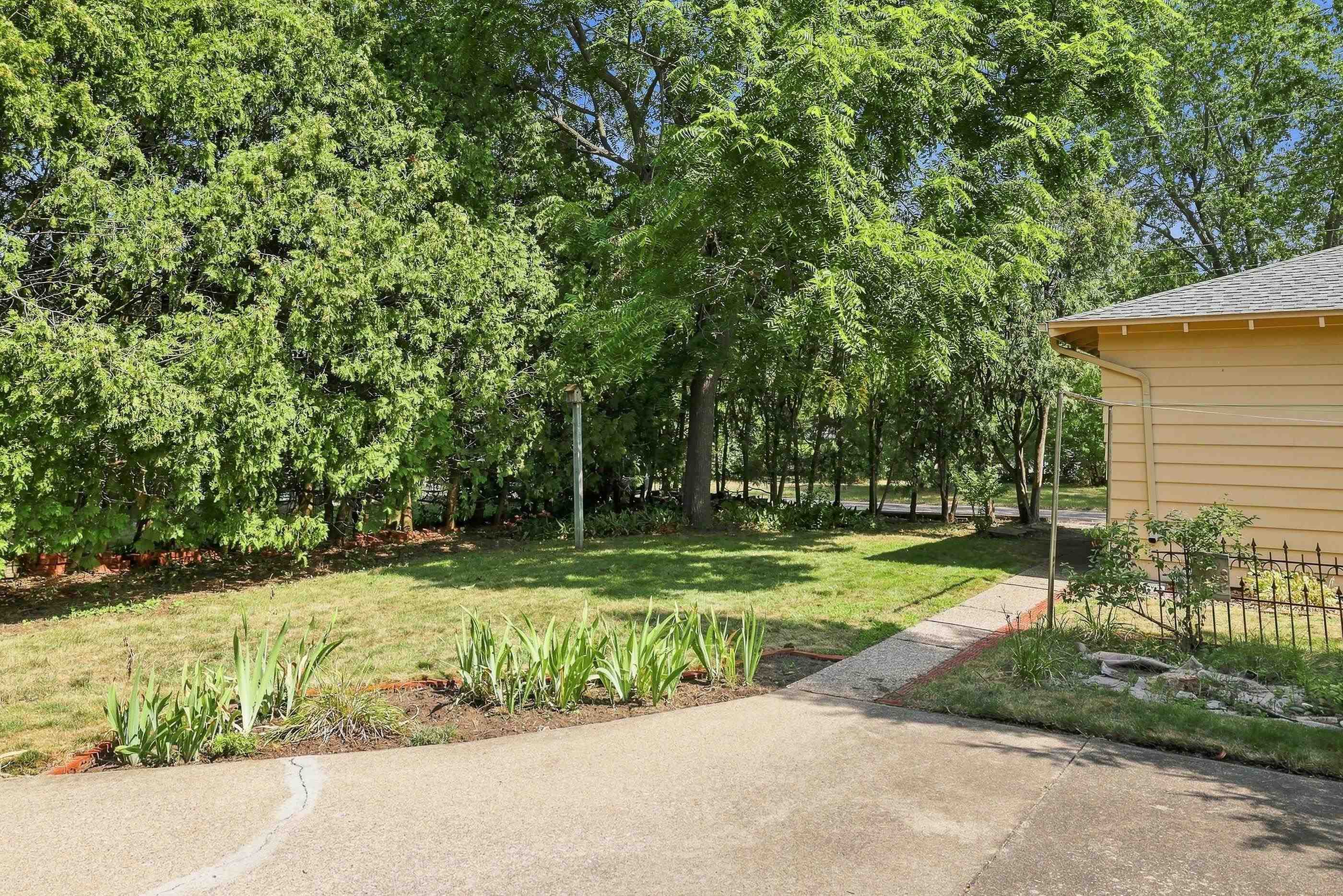 431 Witter Street Property Photo 59
