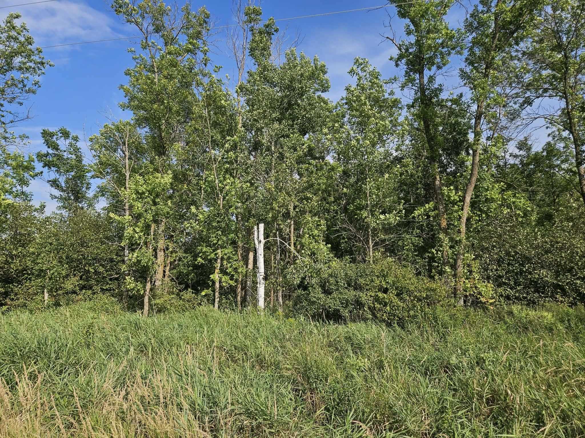 19 Acres Mol Keystone Avenue Property Photo 3