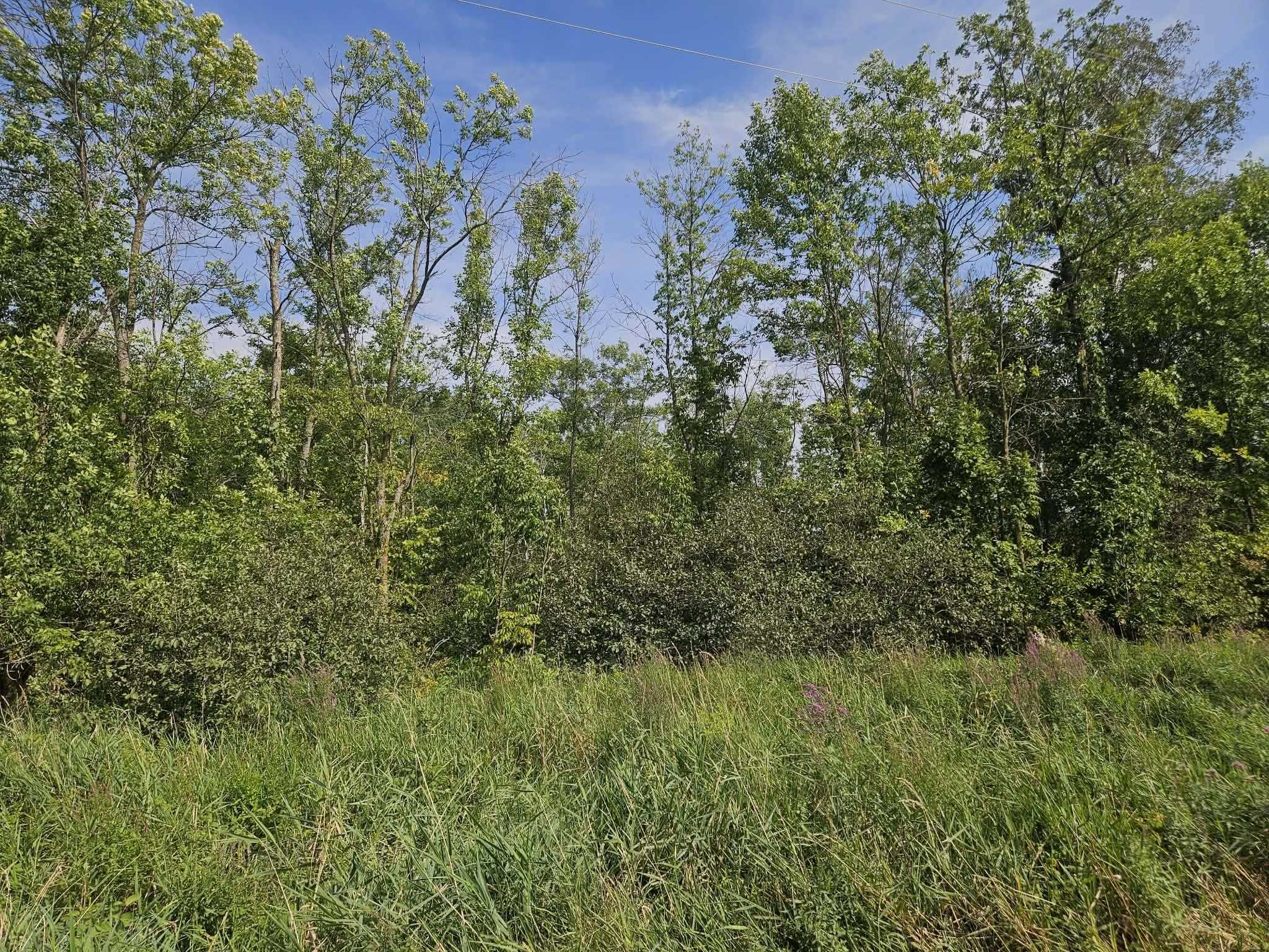 19 Acres Mol Keystone Avenue Property Photo 5