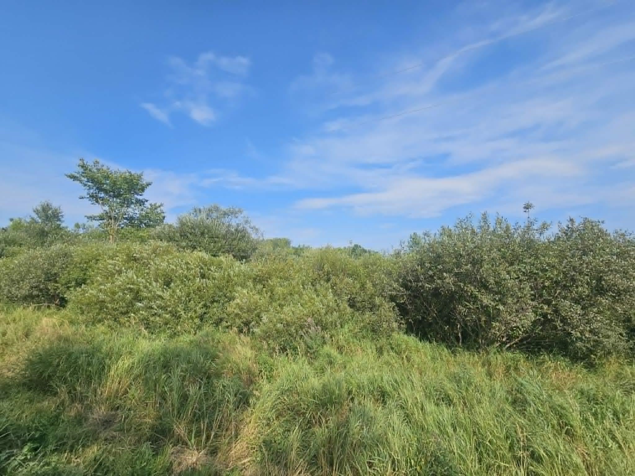 19 Acres Mol Keystone Avenue Property Photo 6