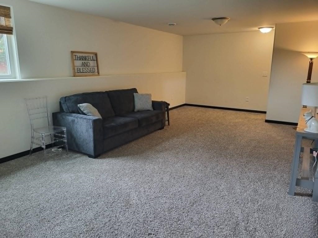 8506 Hinner Springs Drive Property Photo 27