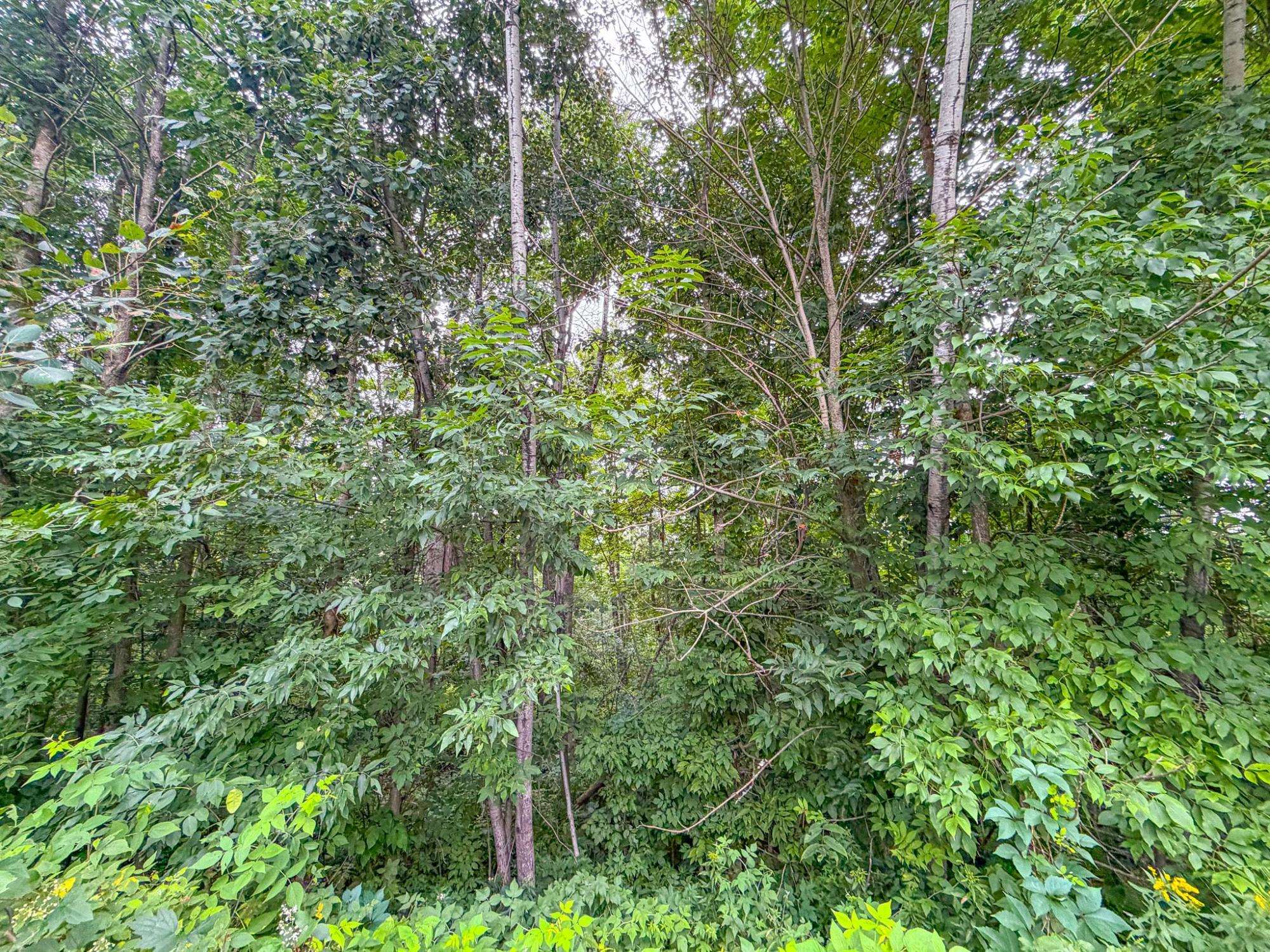 1428 4th Avenue South Property Photo 20