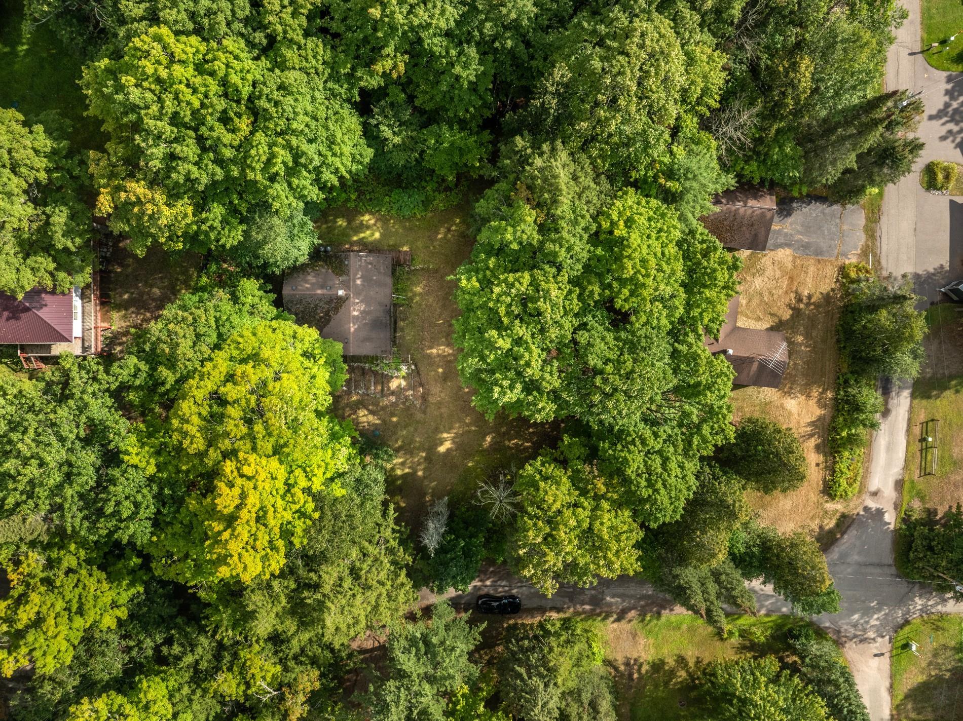 10567 Coes Landing Property Photo 6