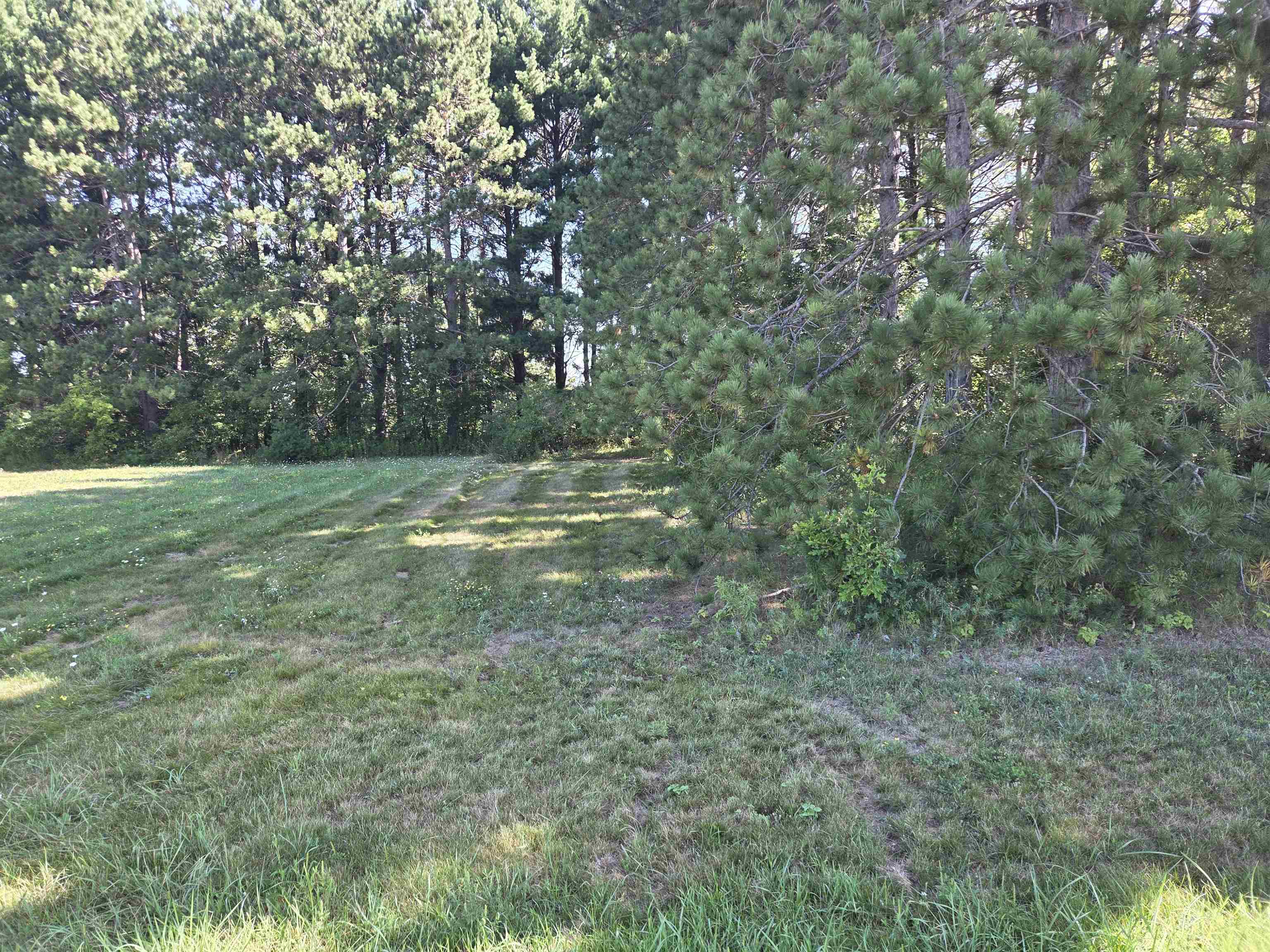 22604137 Property Photo 3