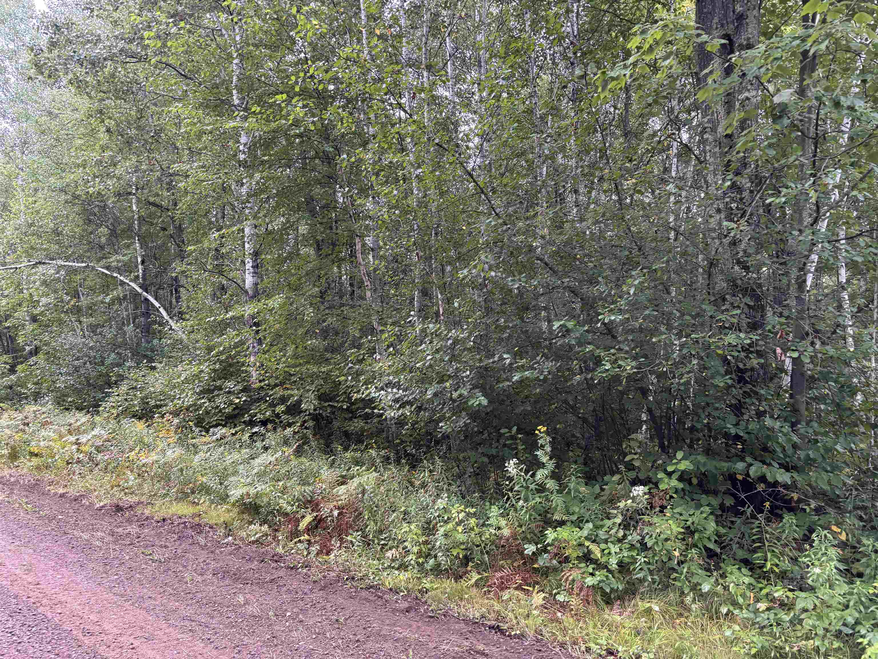 Armstrong Creek Road Property Photo 1
