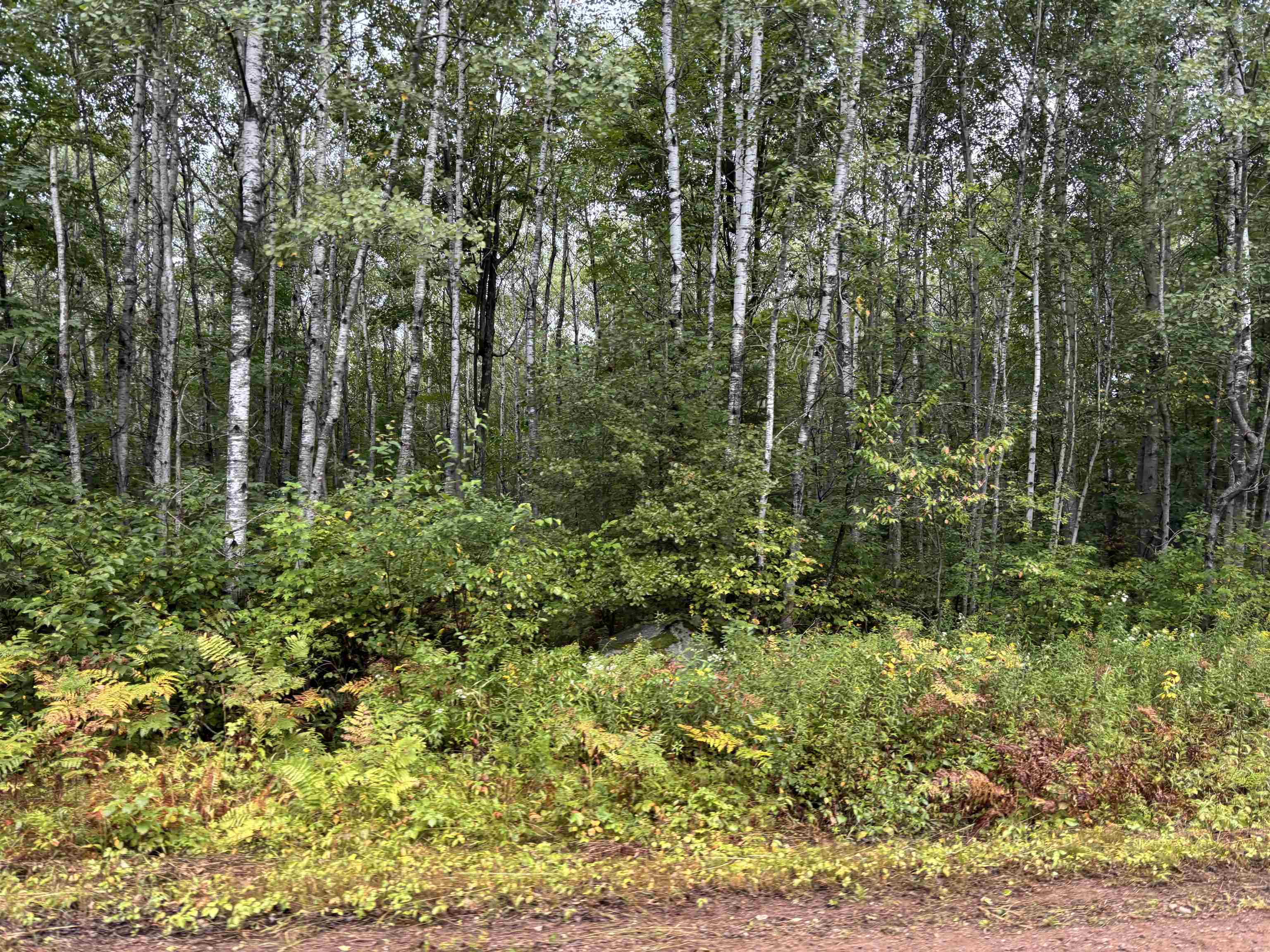 Armstrong Creek Road Property Photo 2