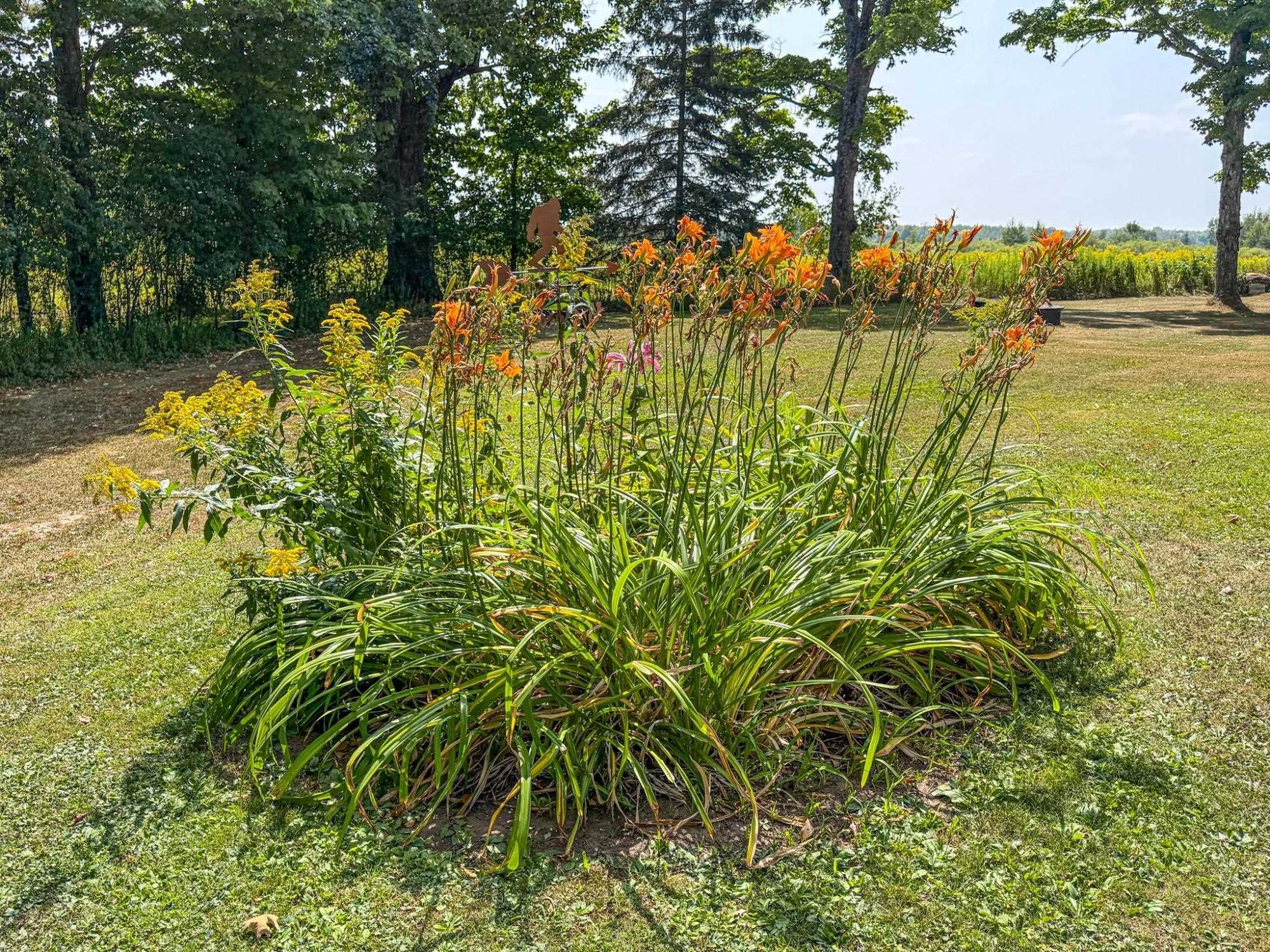 N3979 Oxbow Road Property Photo 45
