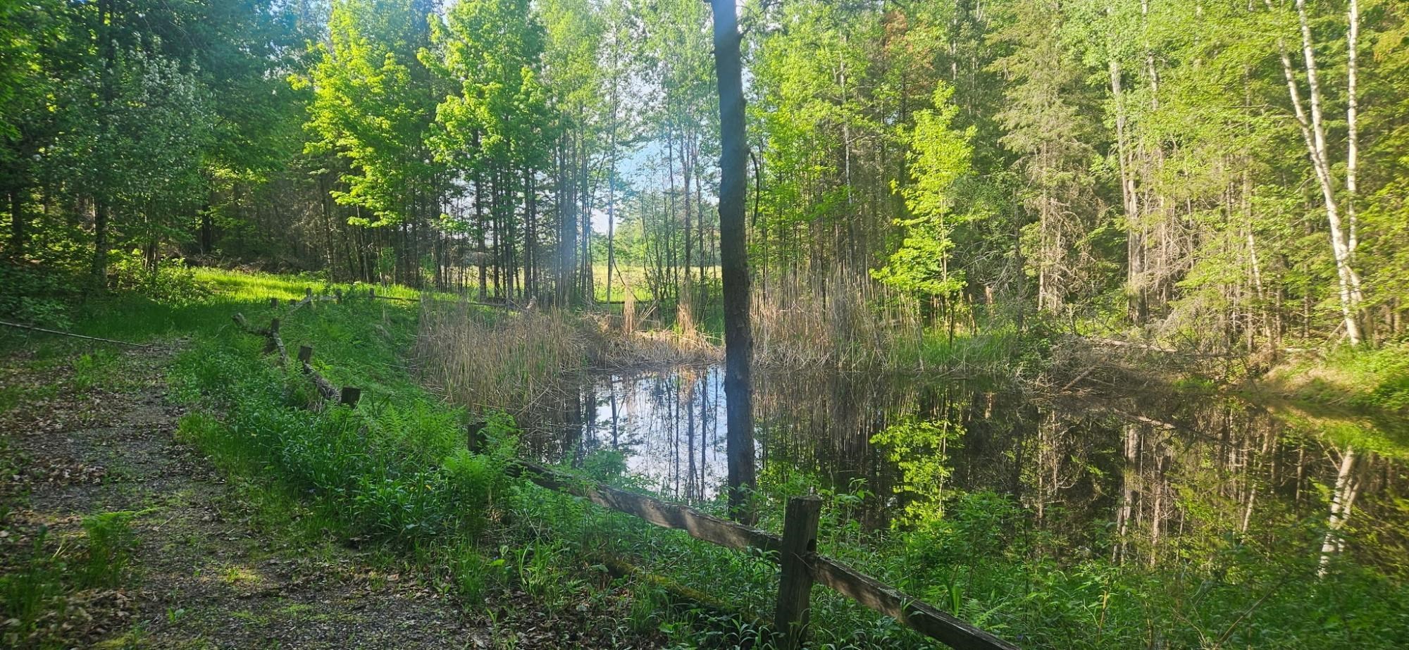 On Figi Road Property Photo 1