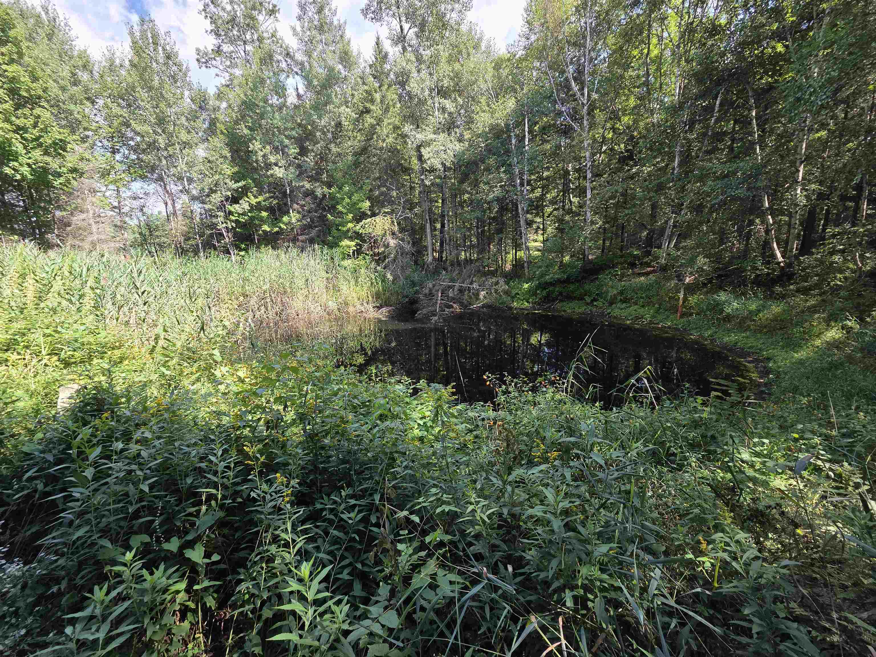 On Figi Road Property Photo 3