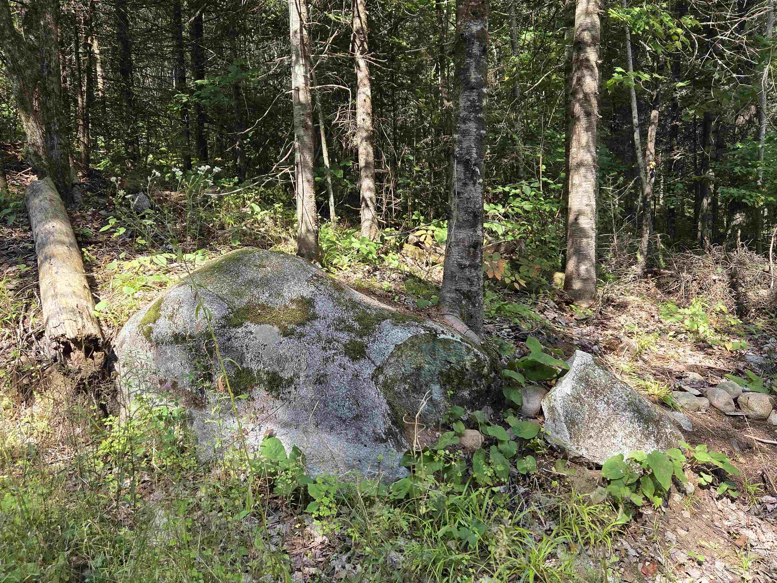 On Figi Road Property Photo 4