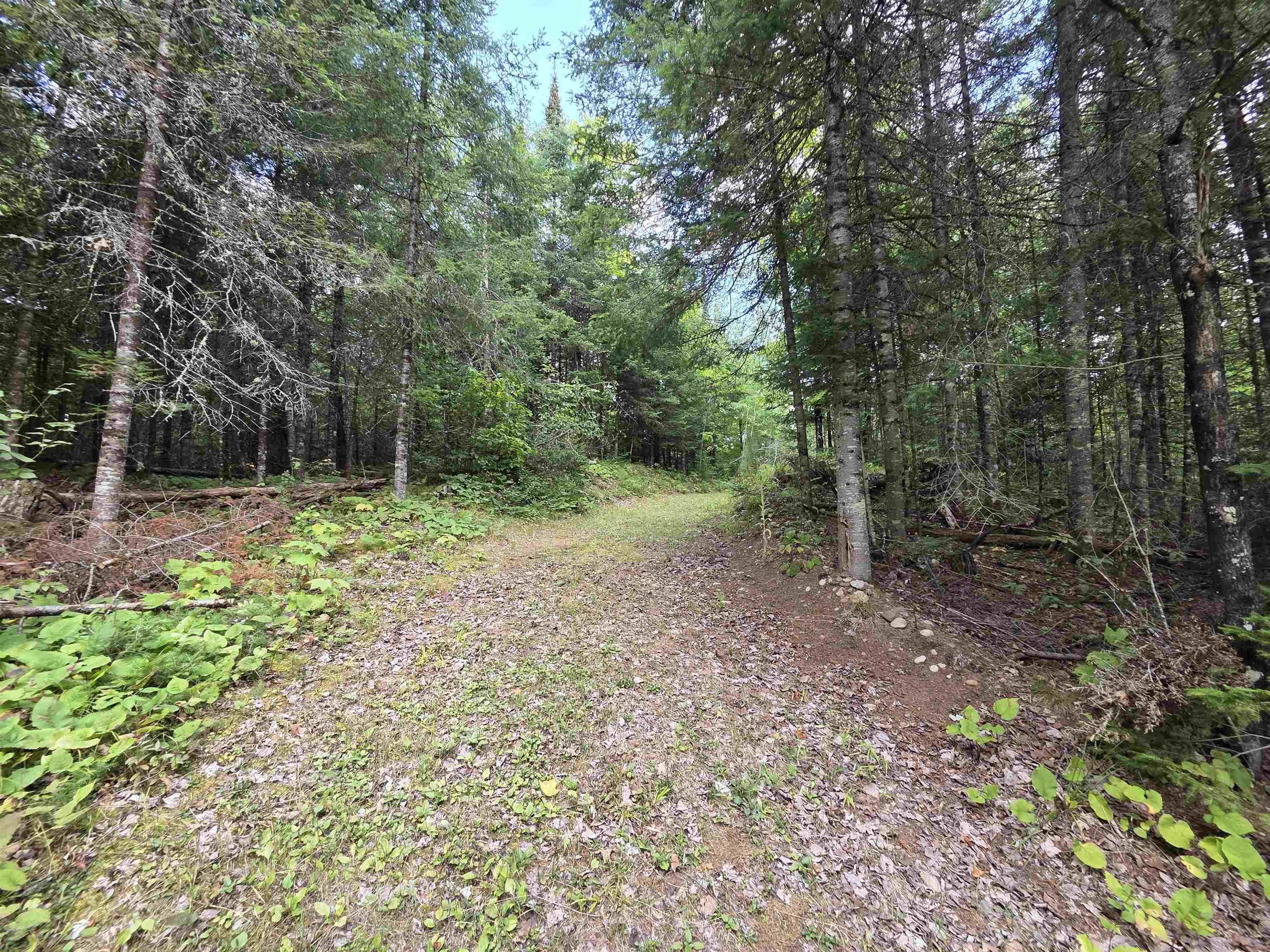 On Figi Road Property Photo 15