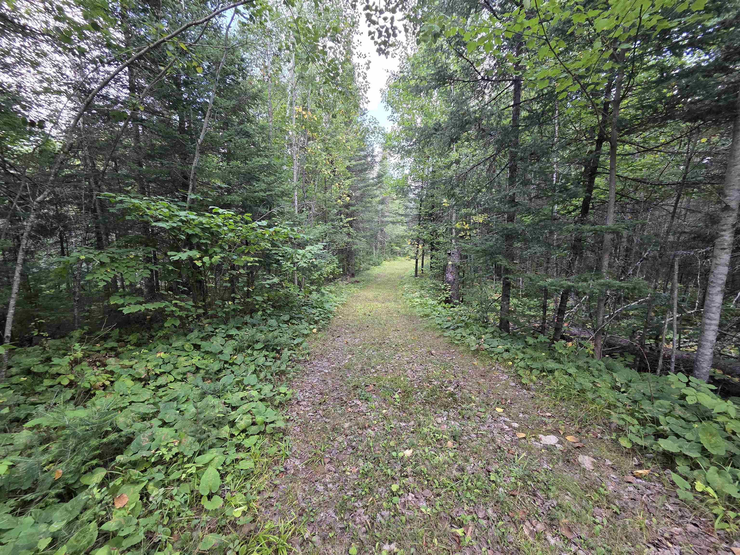 On Figi Road Property Photo 16
