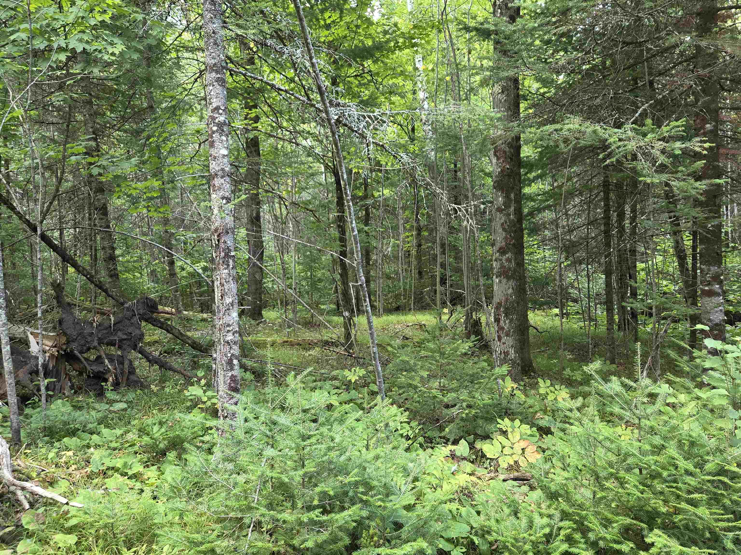 On Figi Road Property Photo 17