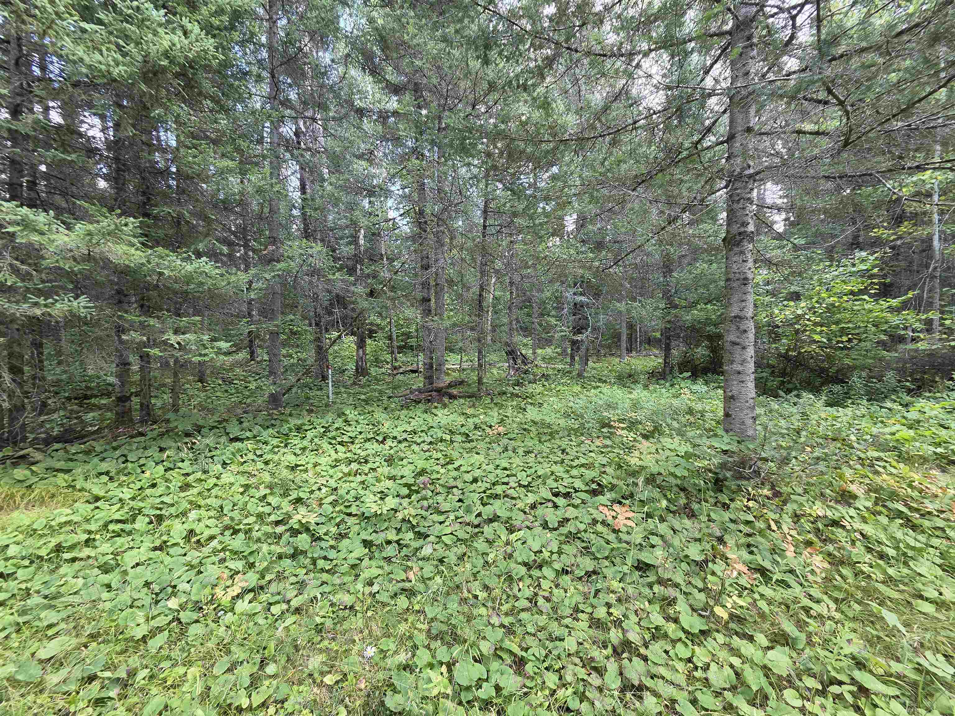 On Figi Road Property Photo 18